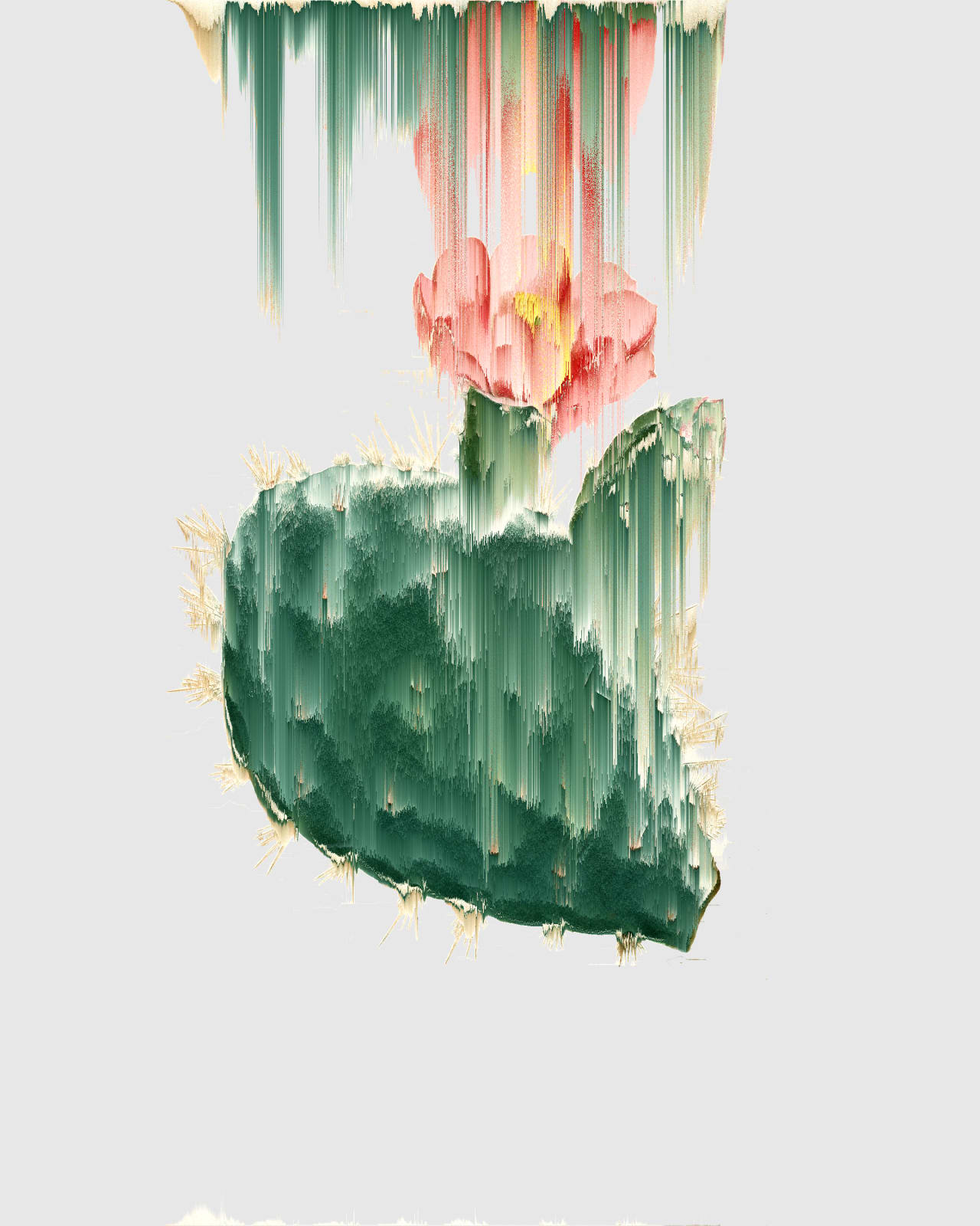 Andrea Wolf, Opuntia Basilaris, vars. 027, 036, 044, 089, 108, 1572, 2020