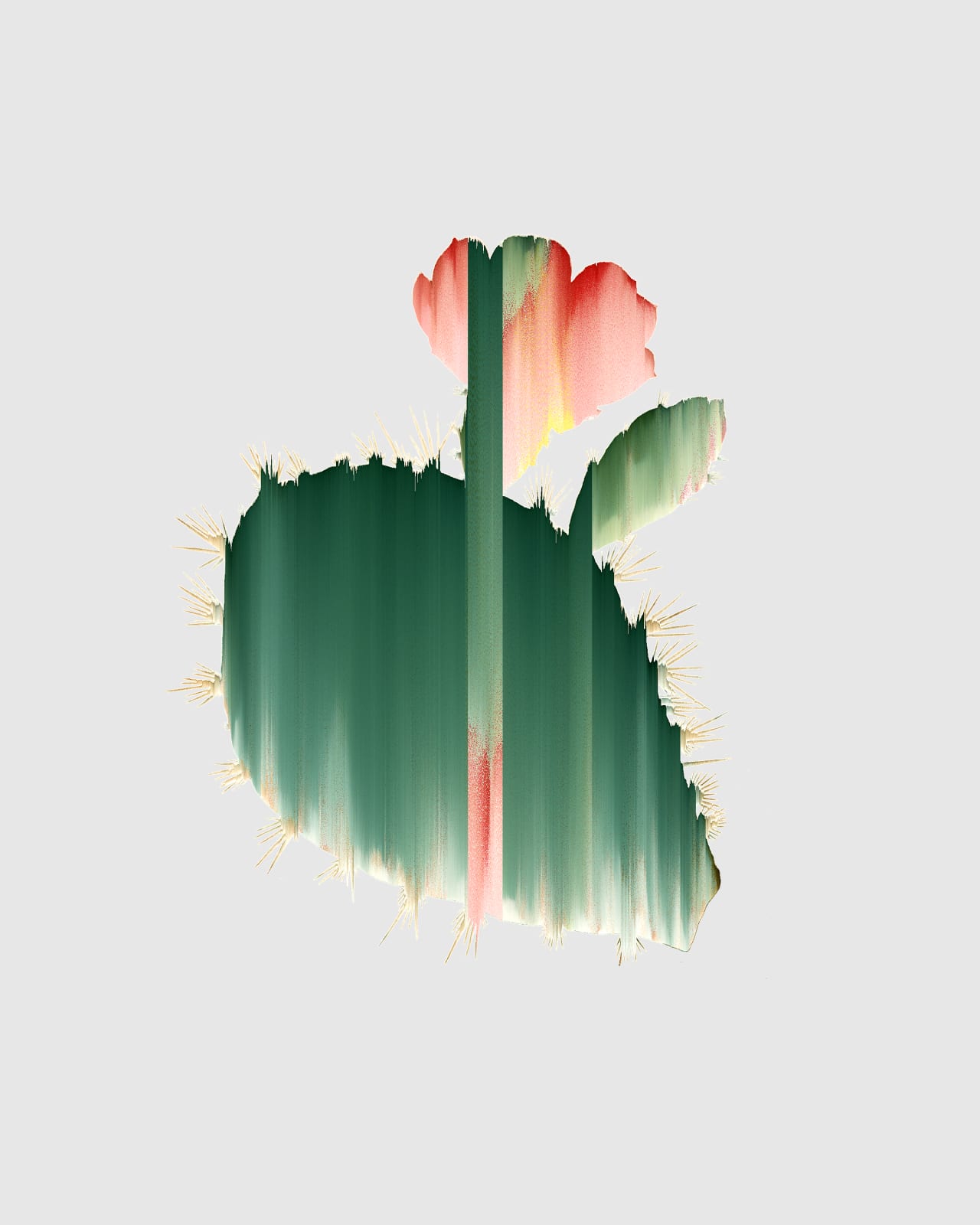 Andrea Wolf, Opuntia Basilaris, vars. 027, 036, 044, 089, 108, 1572, 2020