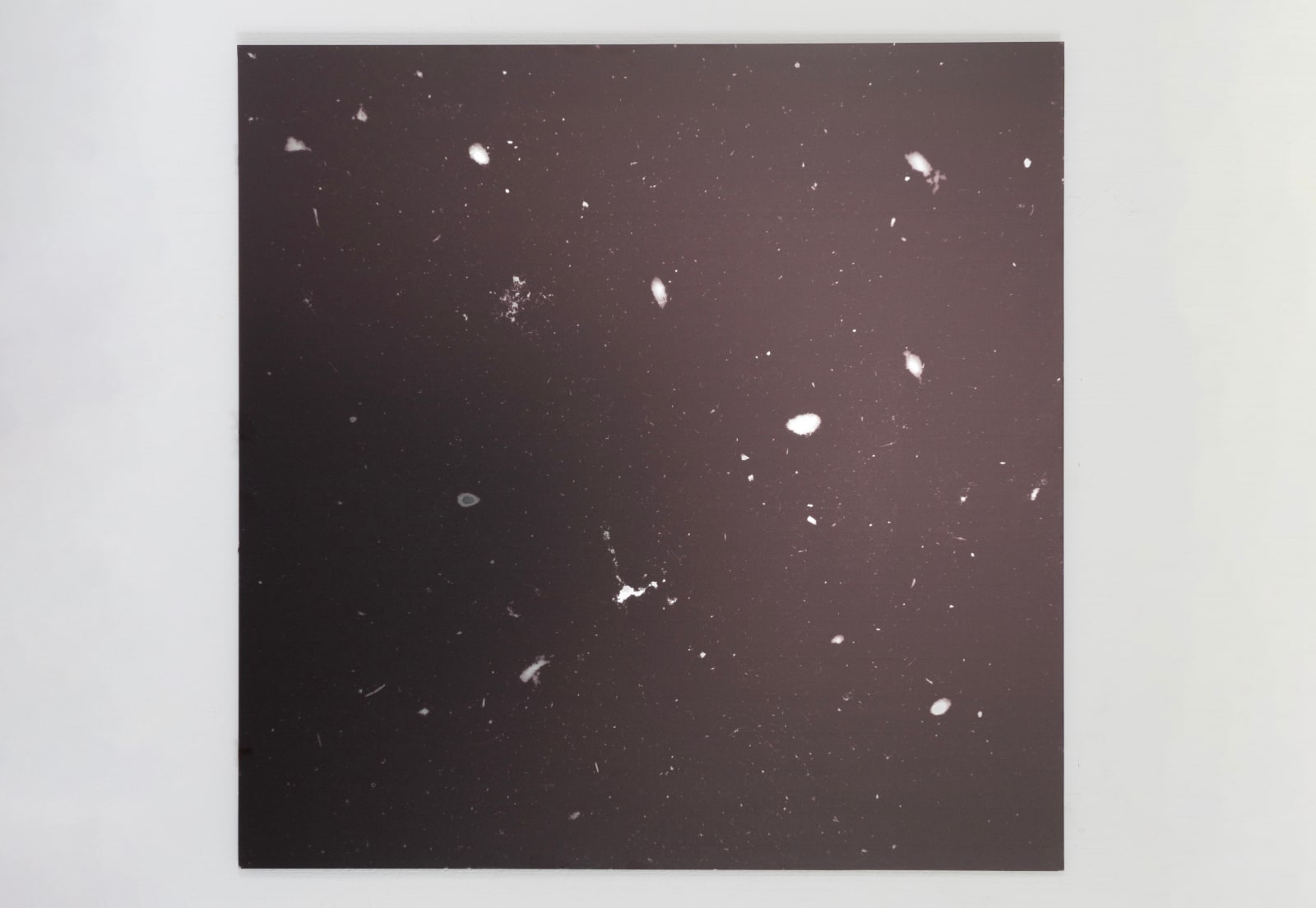 Pedro Albertini, Dust Mirror V, 2024