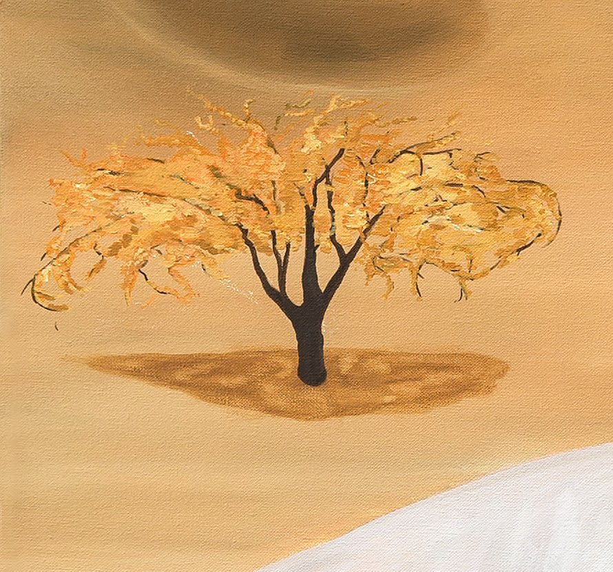 Mara Faúndez, Hacia ninguna parte, 2024