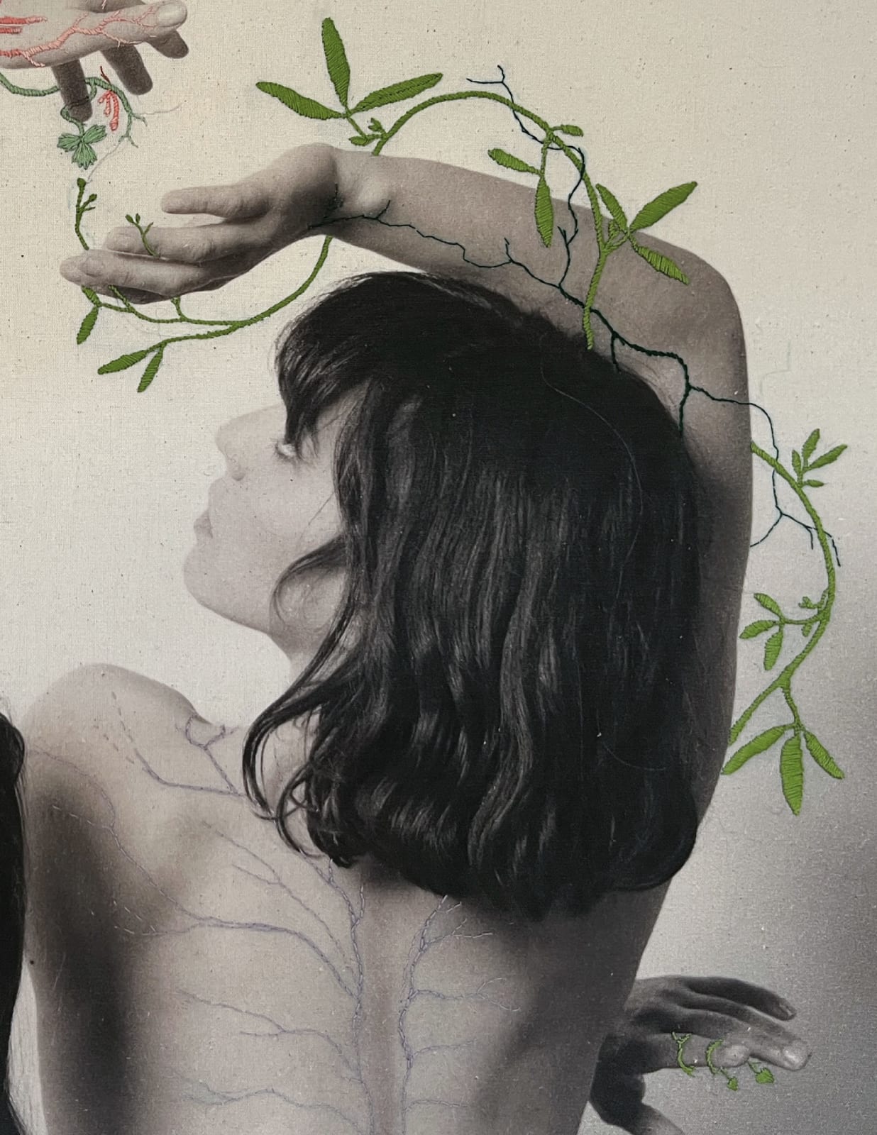 Juana Gómez, Liana, 2025