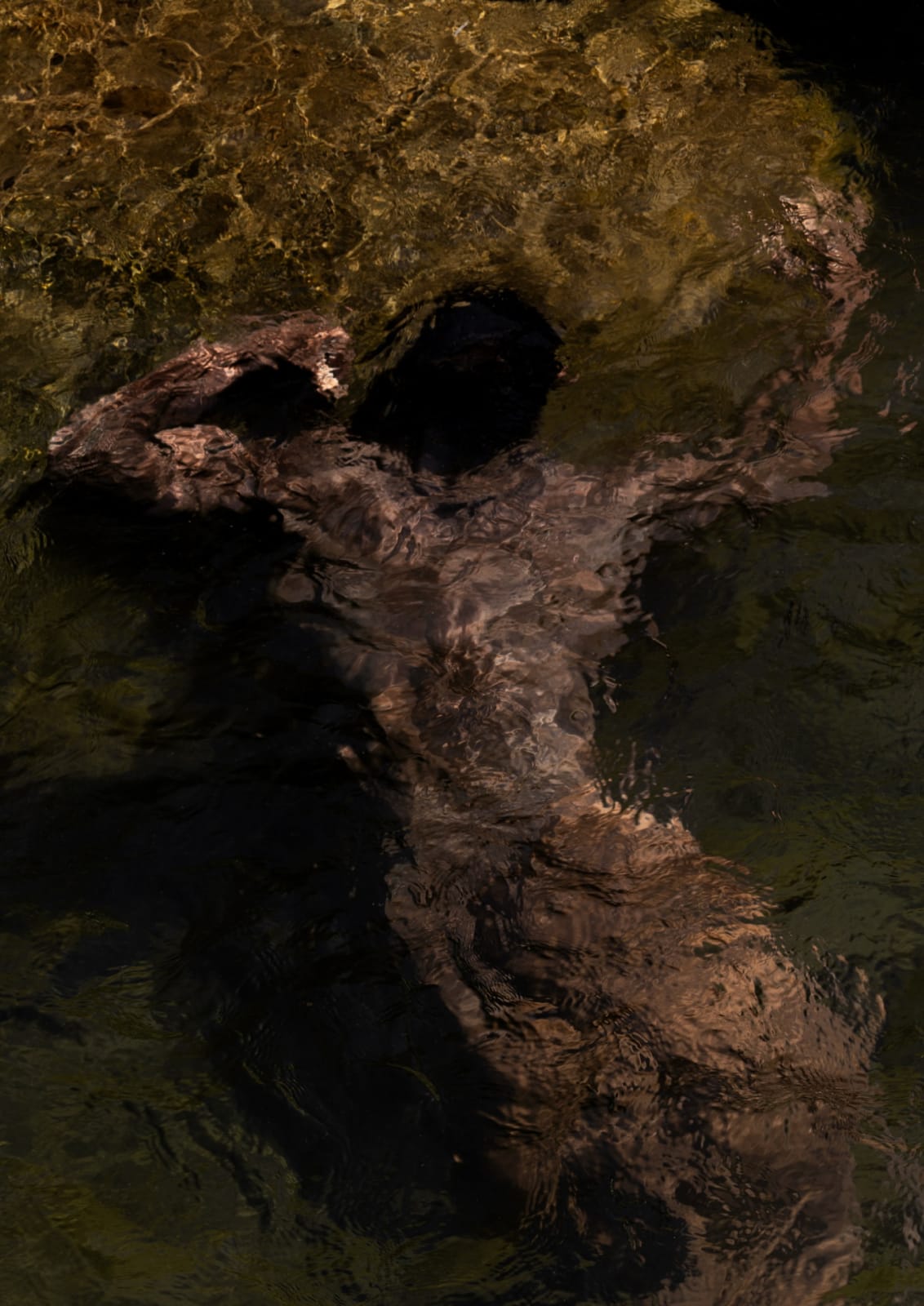 Francisco Allendes, Corpus Fluens II, 2025