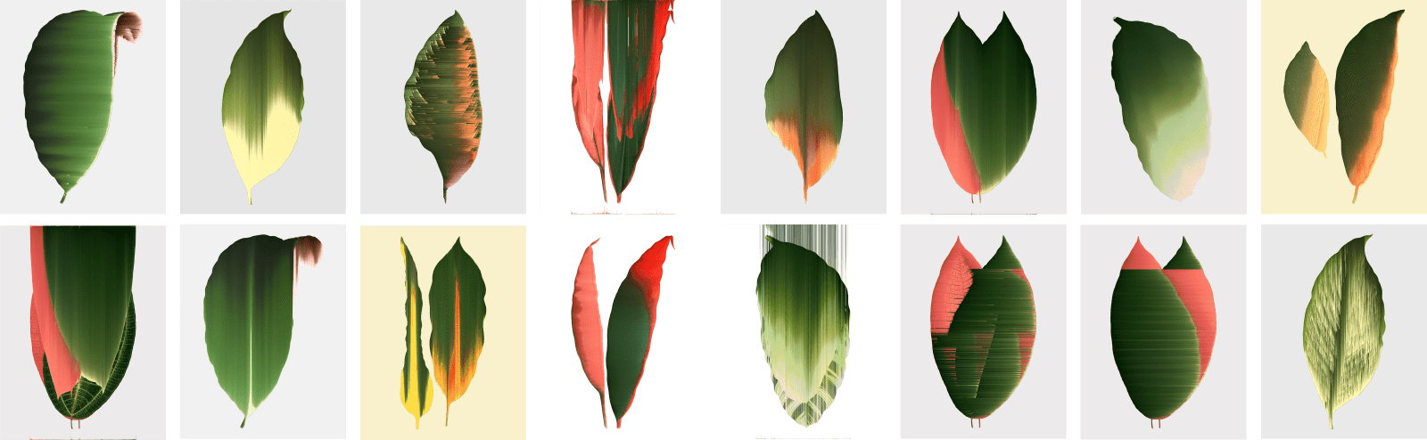 Andrea Wolf, Leaf Study, 2020