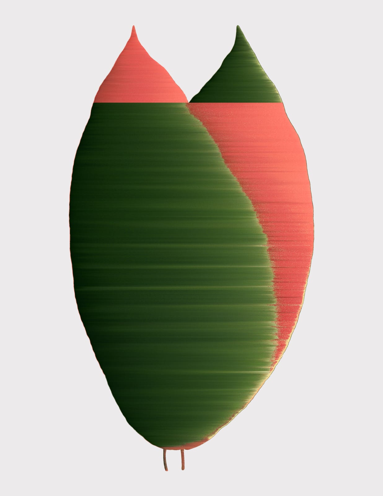 Andrea Wolf, Miconia Calvescens, var. 045, 2020