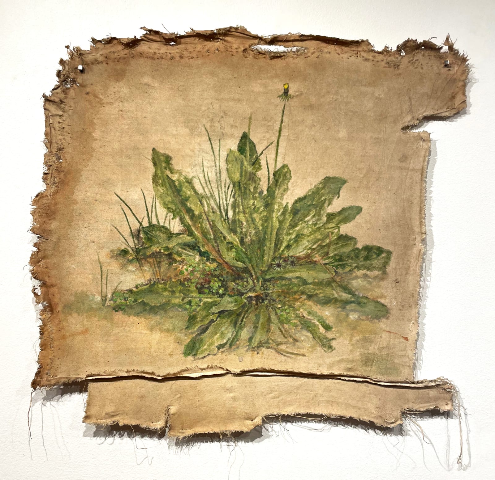 Claudia Peña, Sin Título, de la serie Polvo Soy, 2023