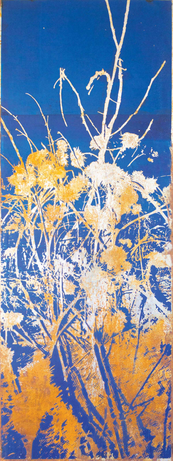 Alonso Bello, Maleza Nociva N°4, 2023