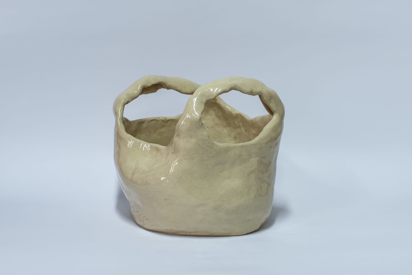 Mara Faúndez, Posibilidades en una Pecera, 2024