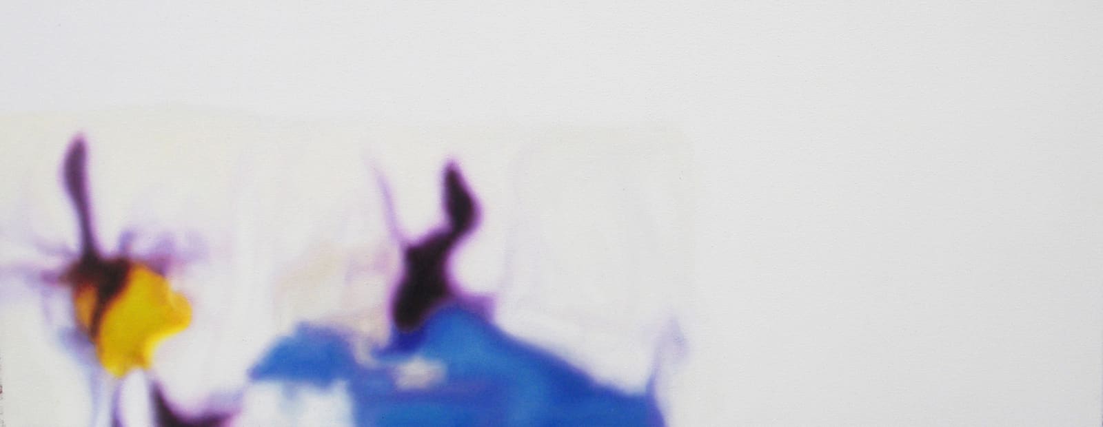 Marcela Serra, Brujas, 2011
