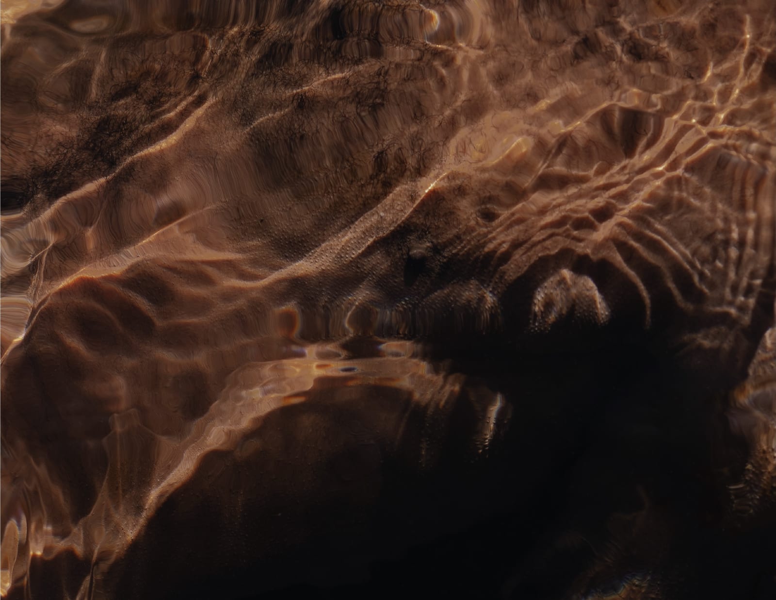 Francisco Allendes, Corpus Fluens IV, 2025