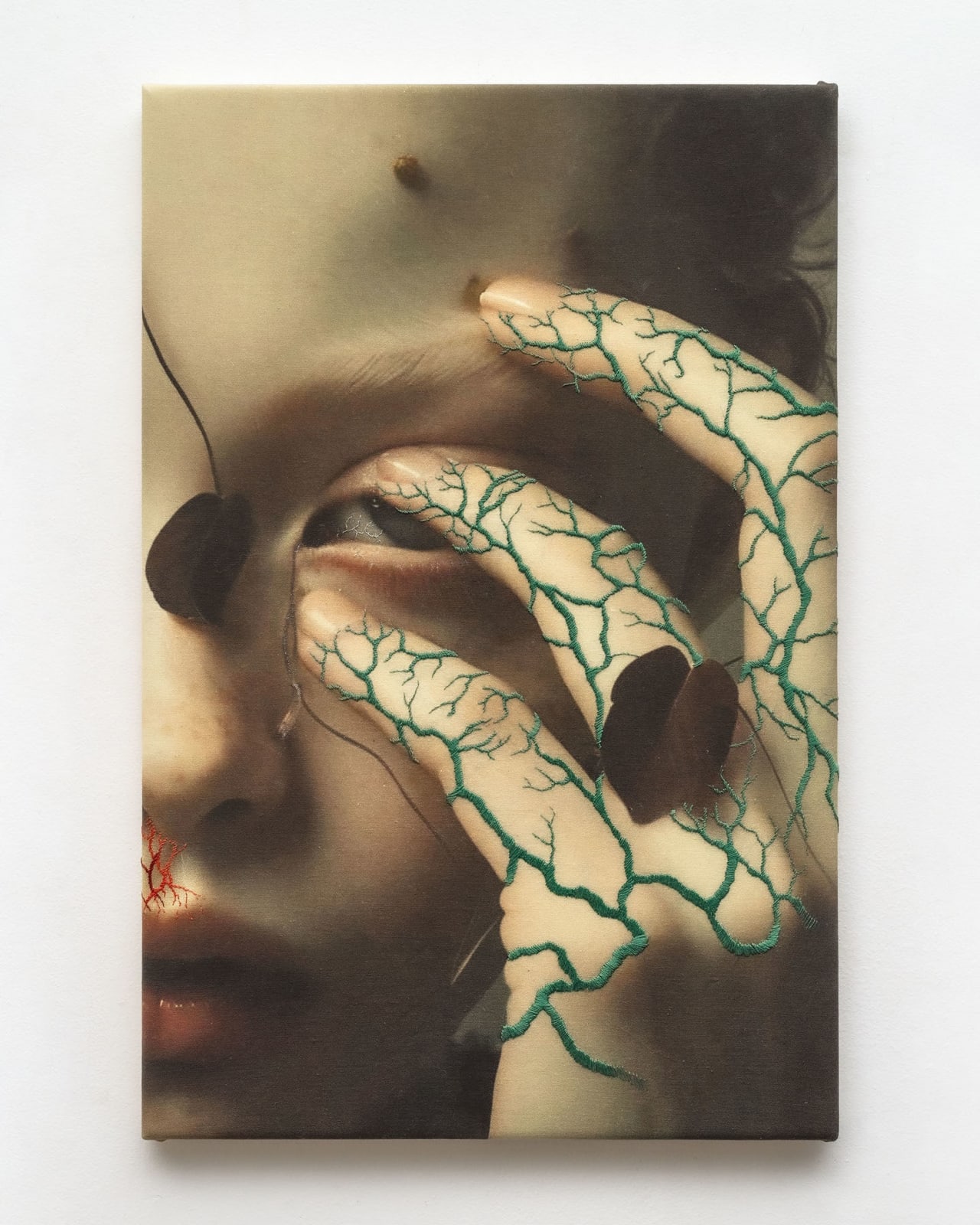 Juana Gómez, & Cecilia Avendaño, Doble Fantasma (Epitaxis), 2025