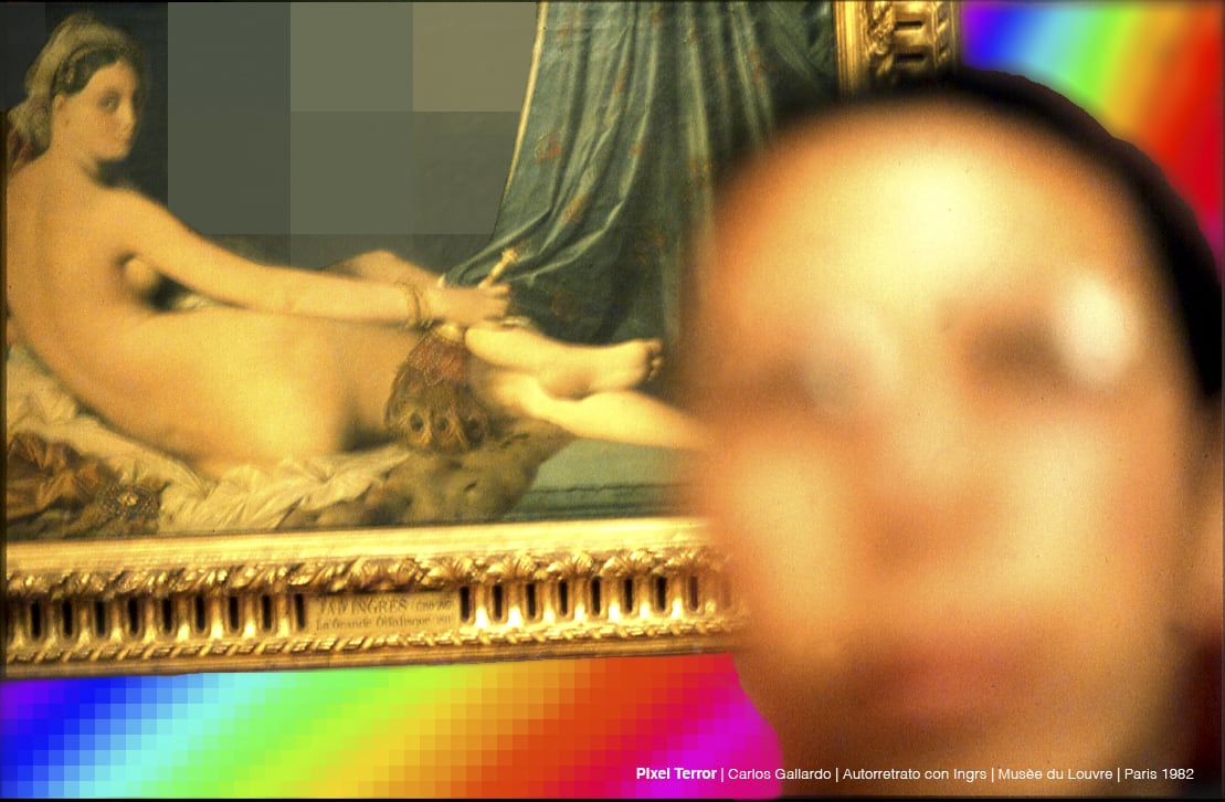 Carlos Gallardo, Pixel Terror, Autorretrato con Ingres, 1982