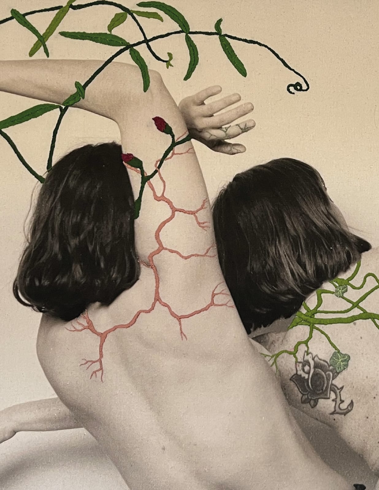 Juana Gómez, Cultivo, 2025