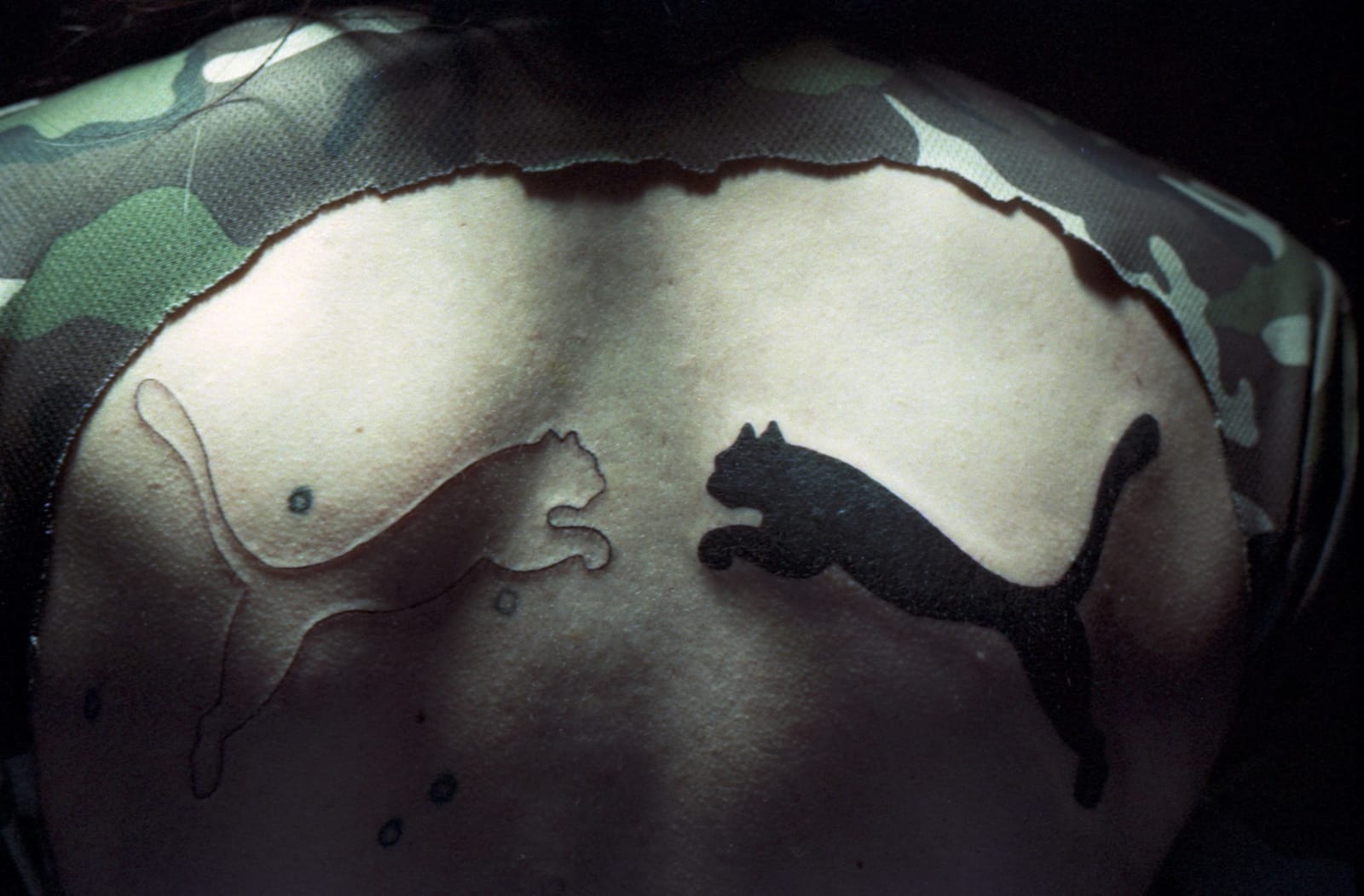 Kütral Vargas Hüaiquimilla, Pangui, 2022