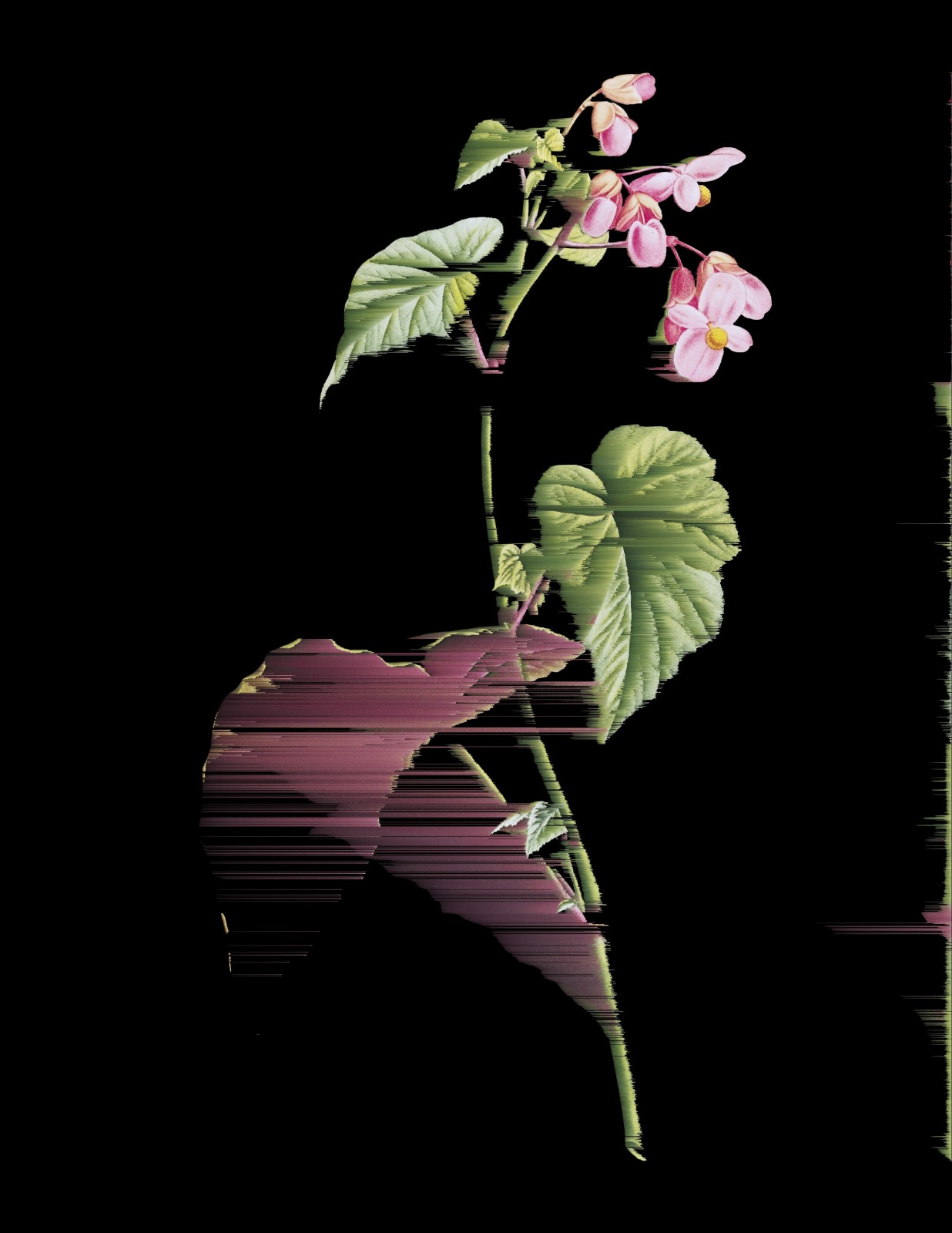 Andrea Wolf, L430812, 2024