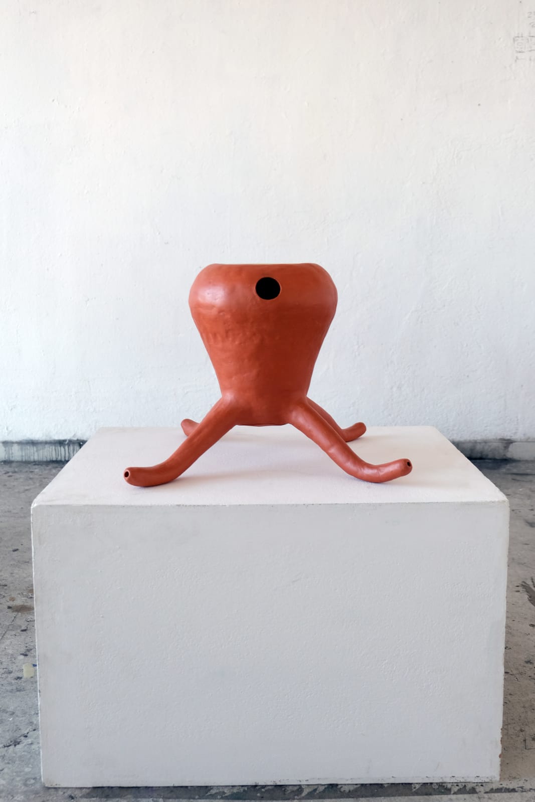Vicente Prieto Gaggero, Brote Cuatro Raíz, 2024