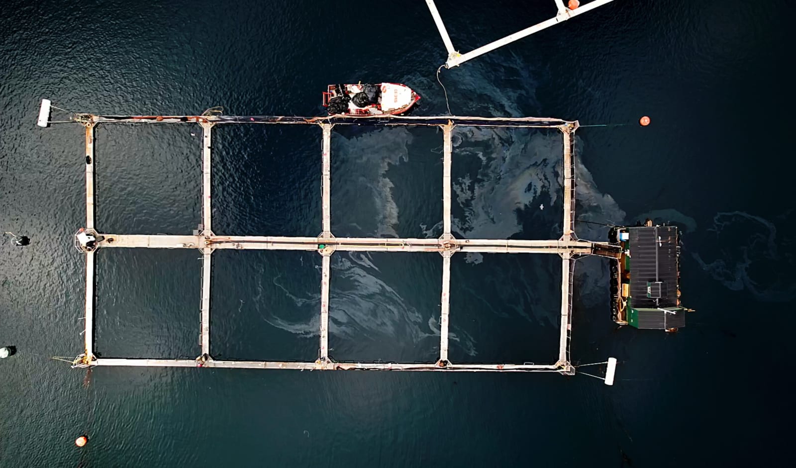 Juvenal Barría, Capítulo 4: Millalobo / Ecocidio, 2022