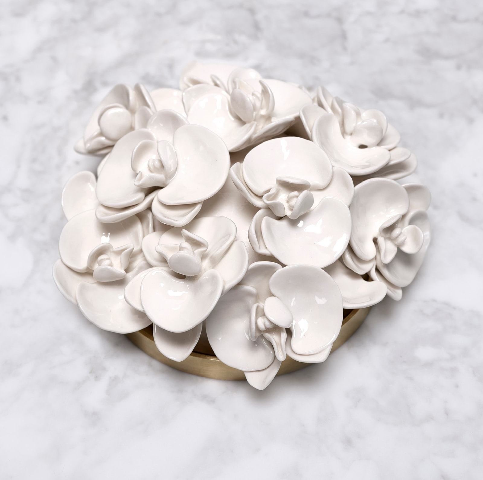 Isabelle van Zeijl, Orchids 11, 2025