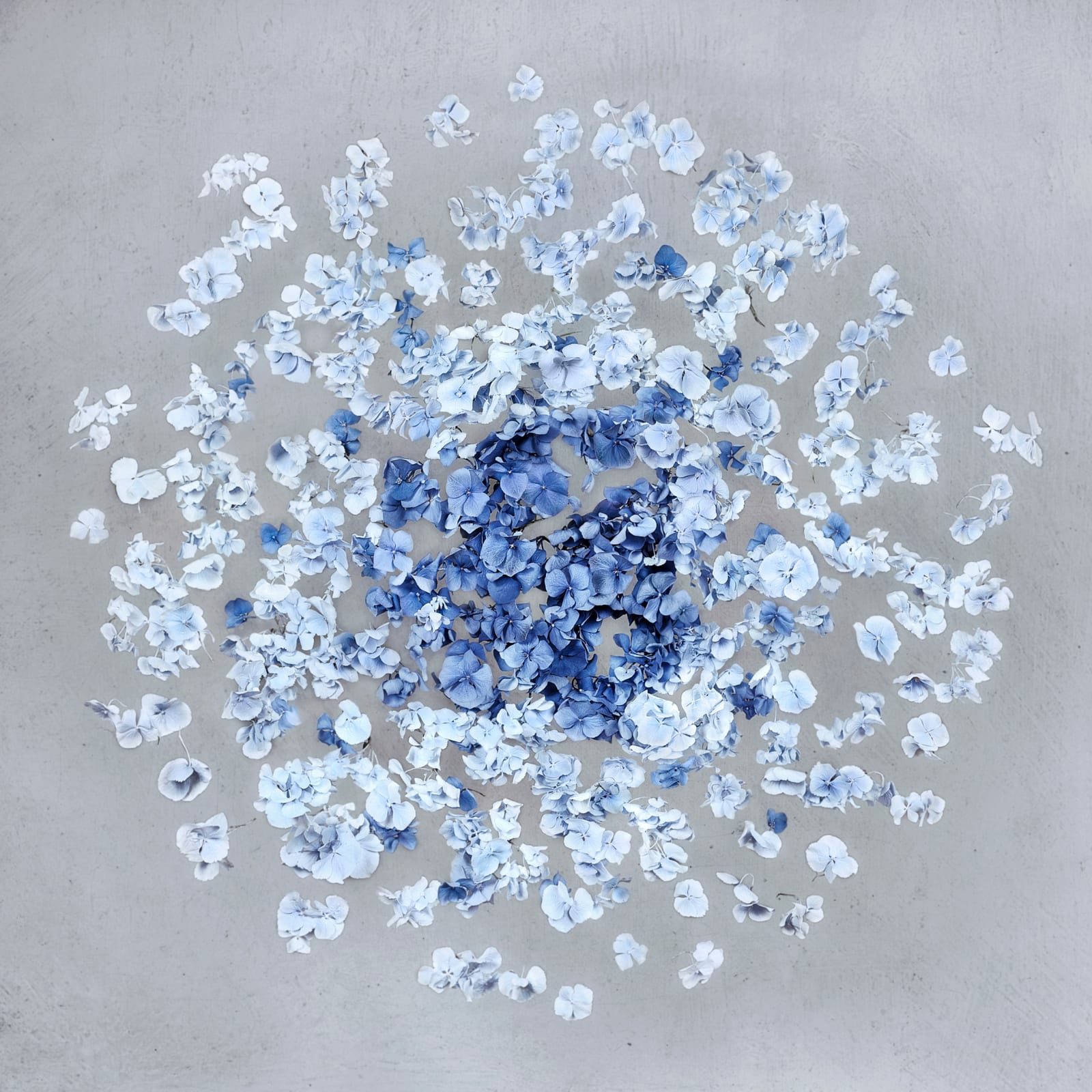 Isabelle van Zeijl, Far Away Land, 2022