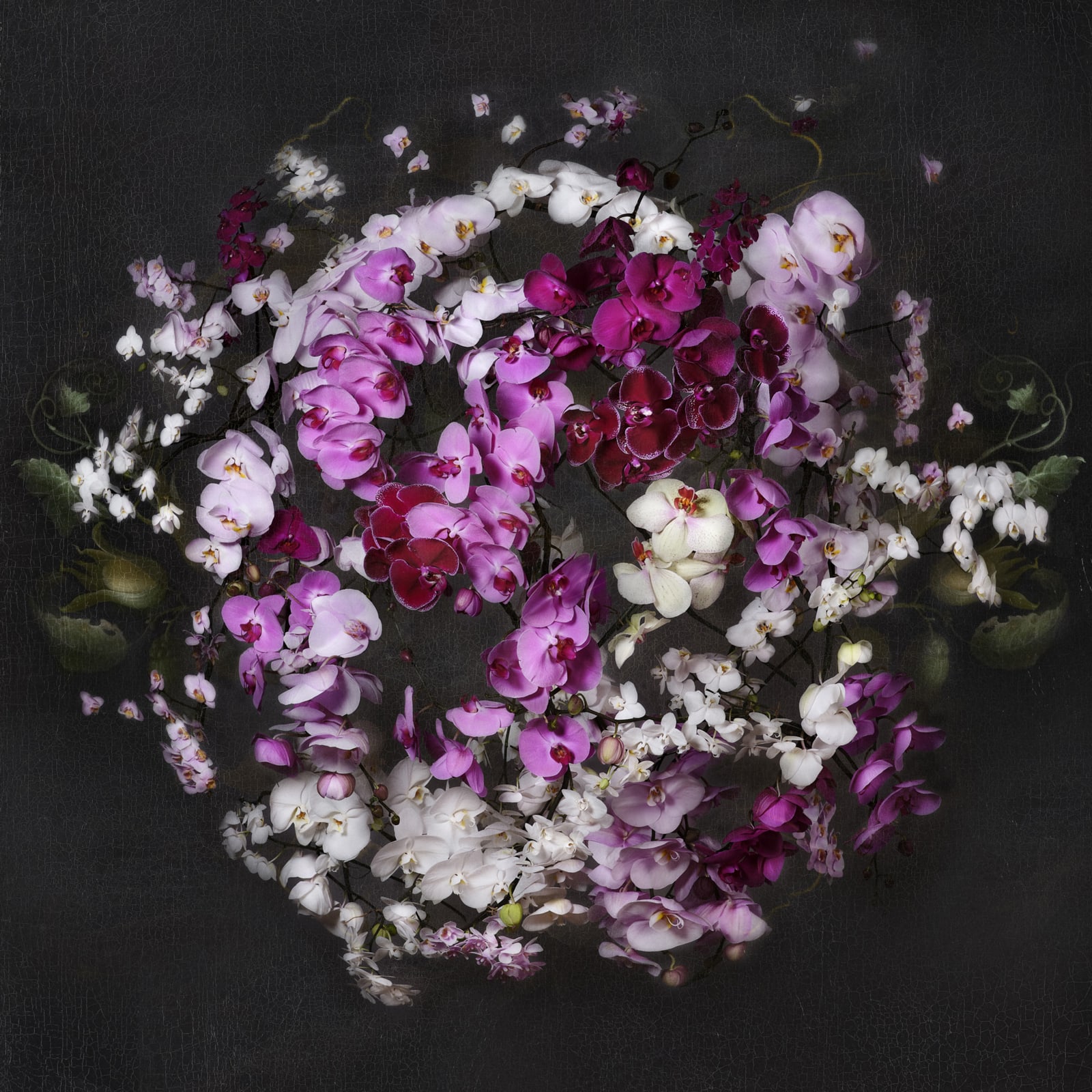 Isabelle van Zeijl, New Earth, 2020