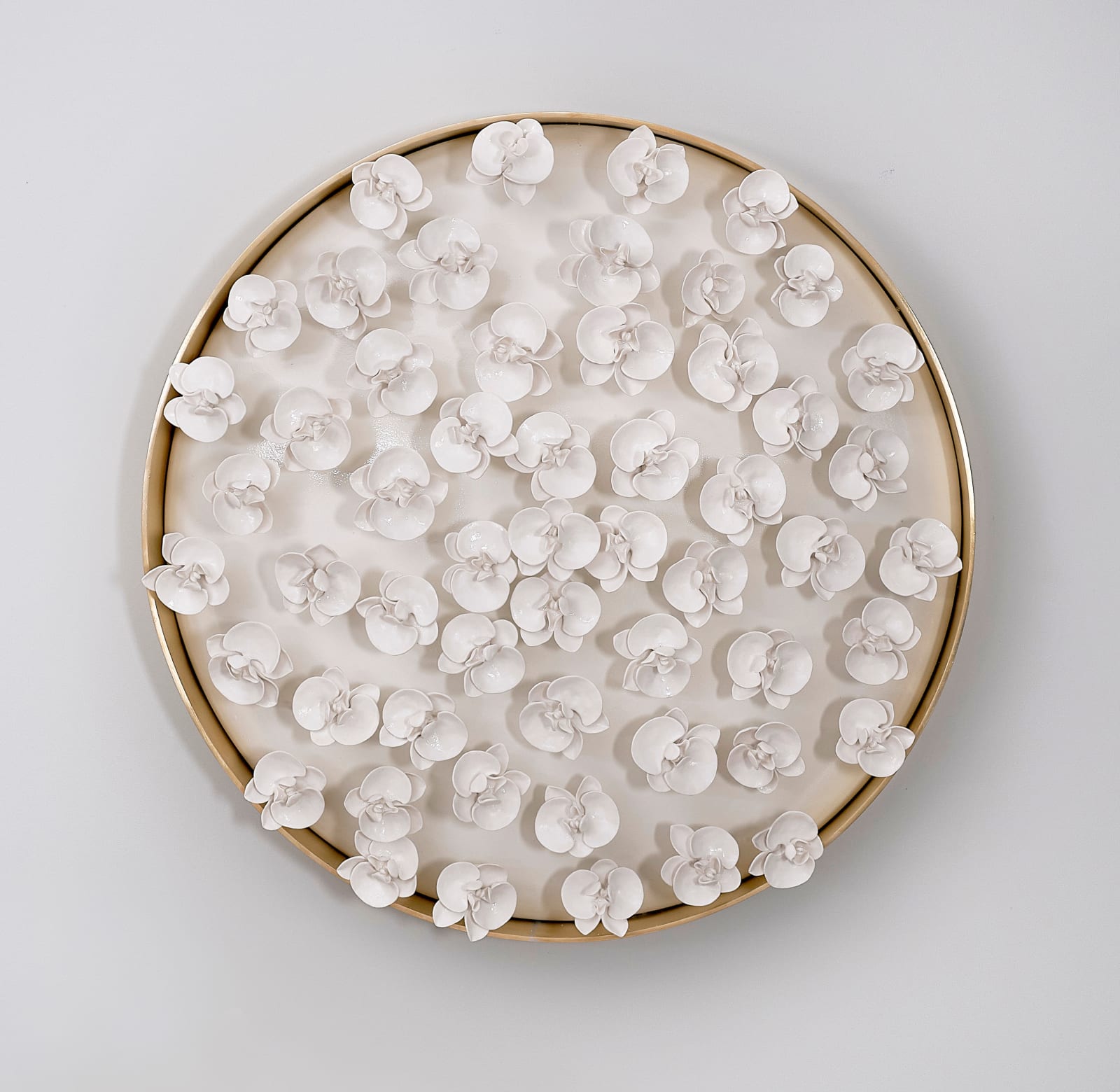 Isabelle van Zeijl, Orchids 55, 2025