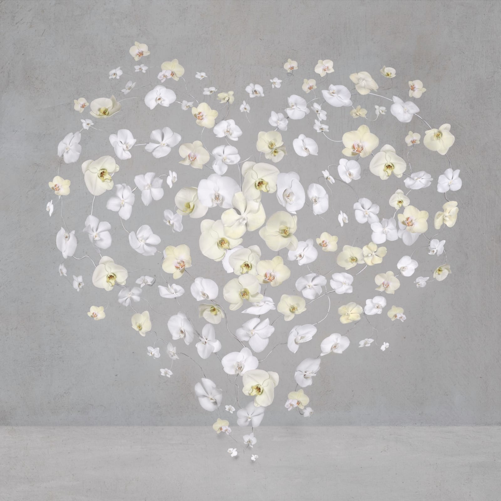 Isabelle van Zeijl, Shining Heart, 2025