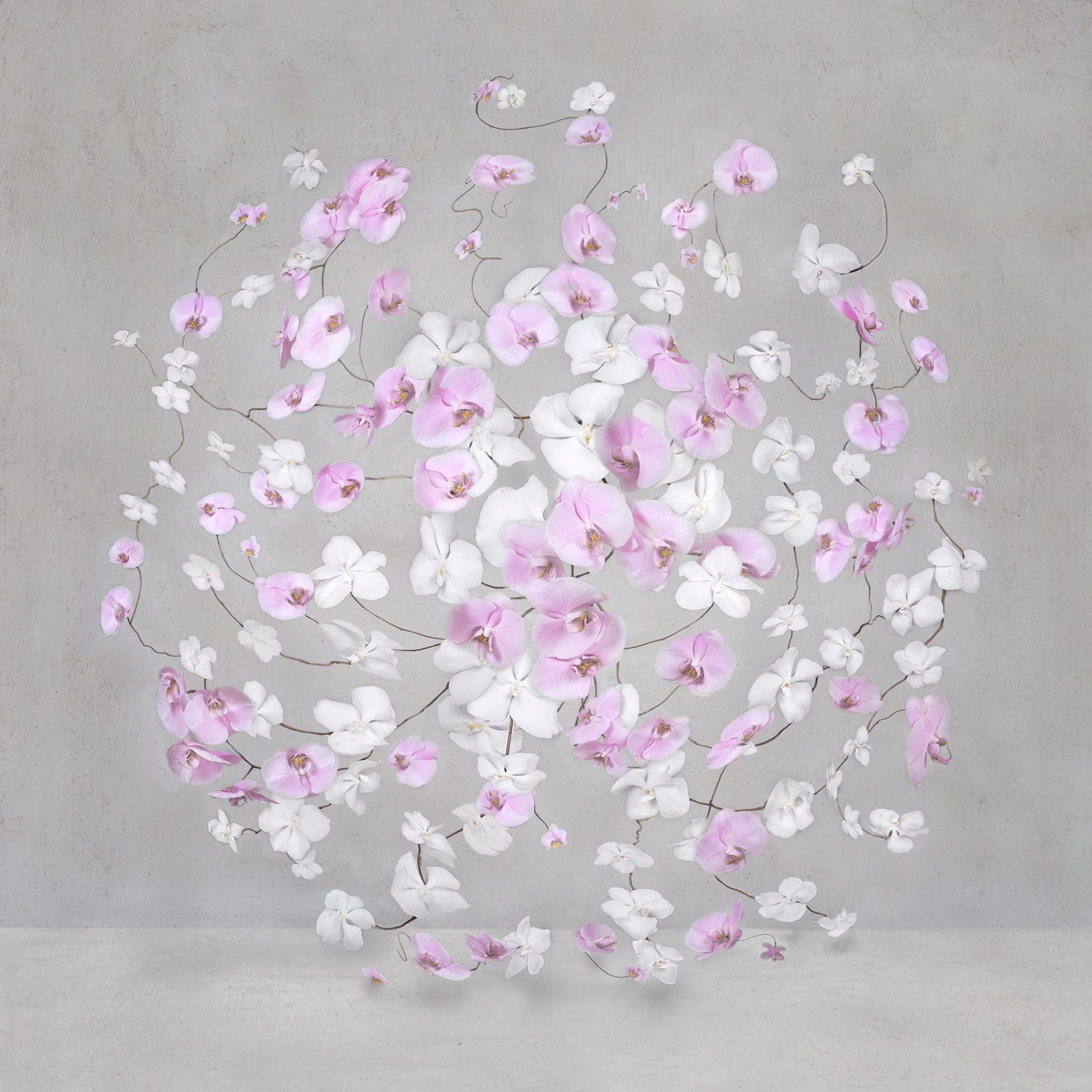 Isabelle van Zeijl, Infinite Pink Light, 2024