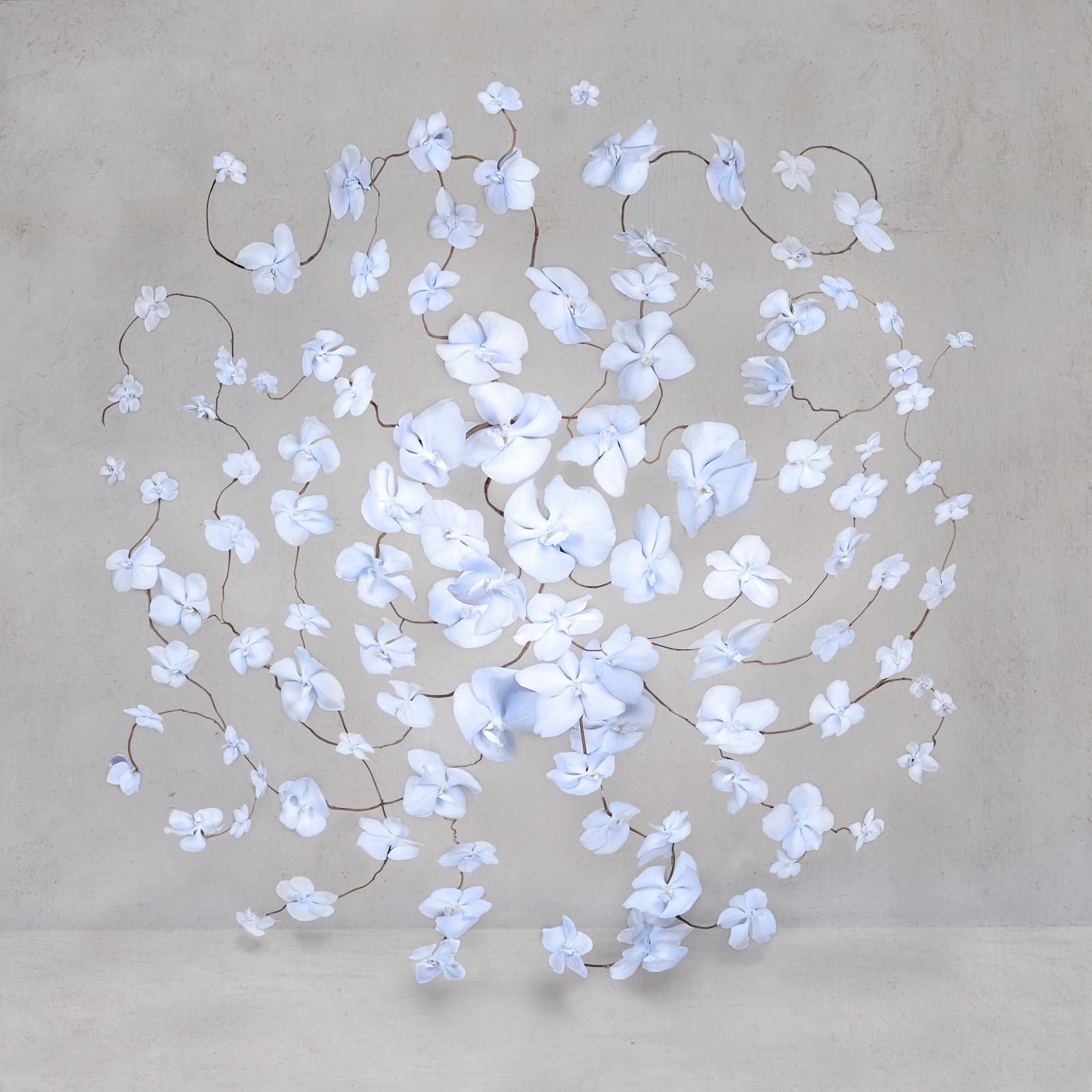 Isabelle van Zeijl, Electric Blue, 2024