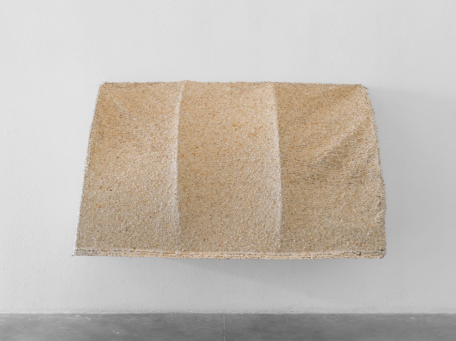 Richi Bhatia, The Animals, The Bodies and Coefficient of Time IV, 2025