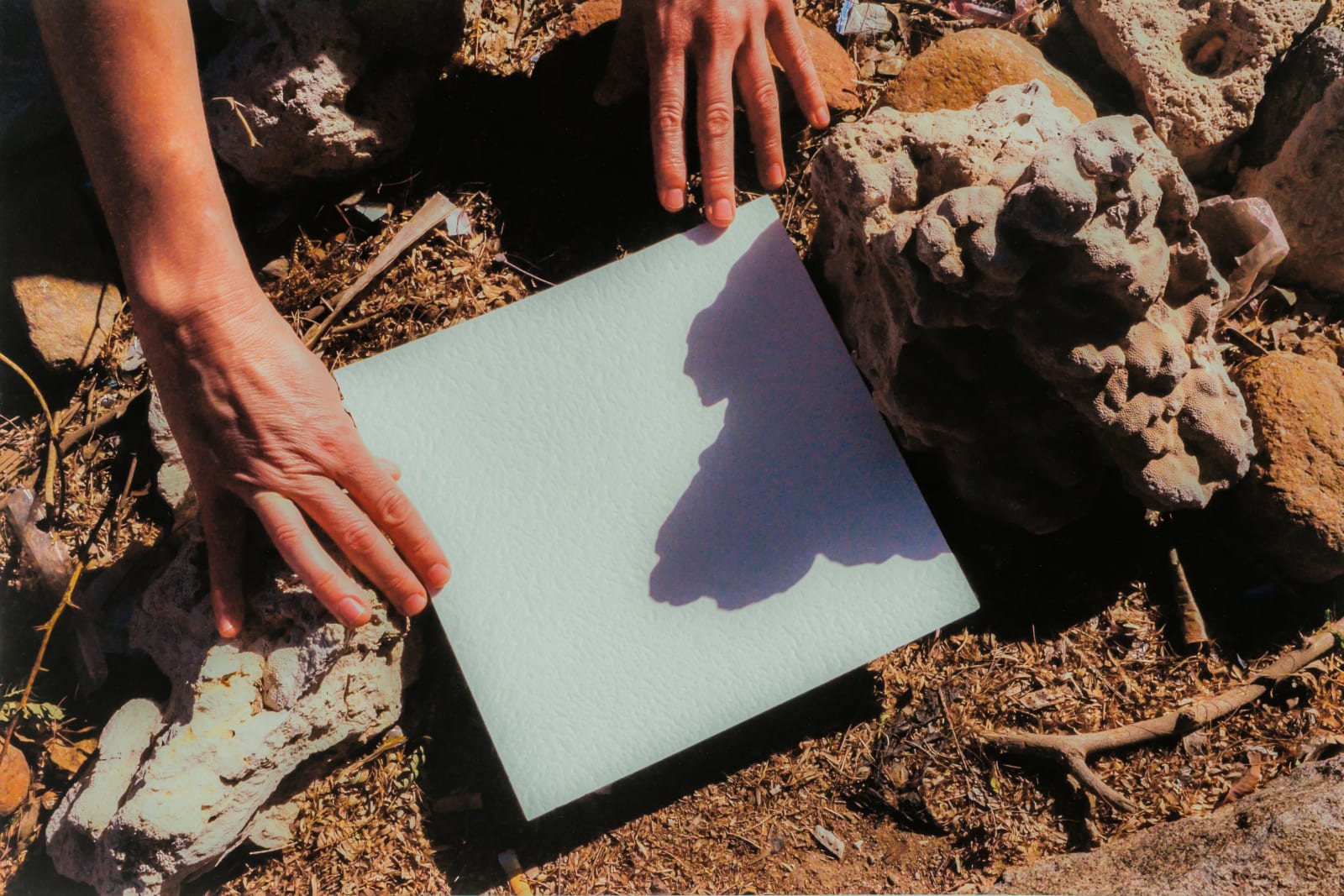 Mohammed Kazem, Collecting Light, 2016