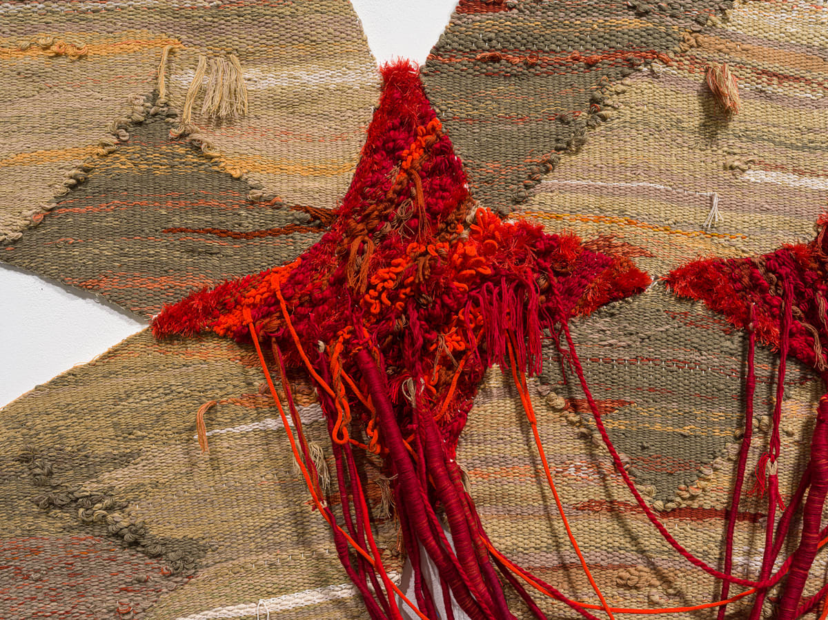 Fariba Boroufar, Hashti, 2024