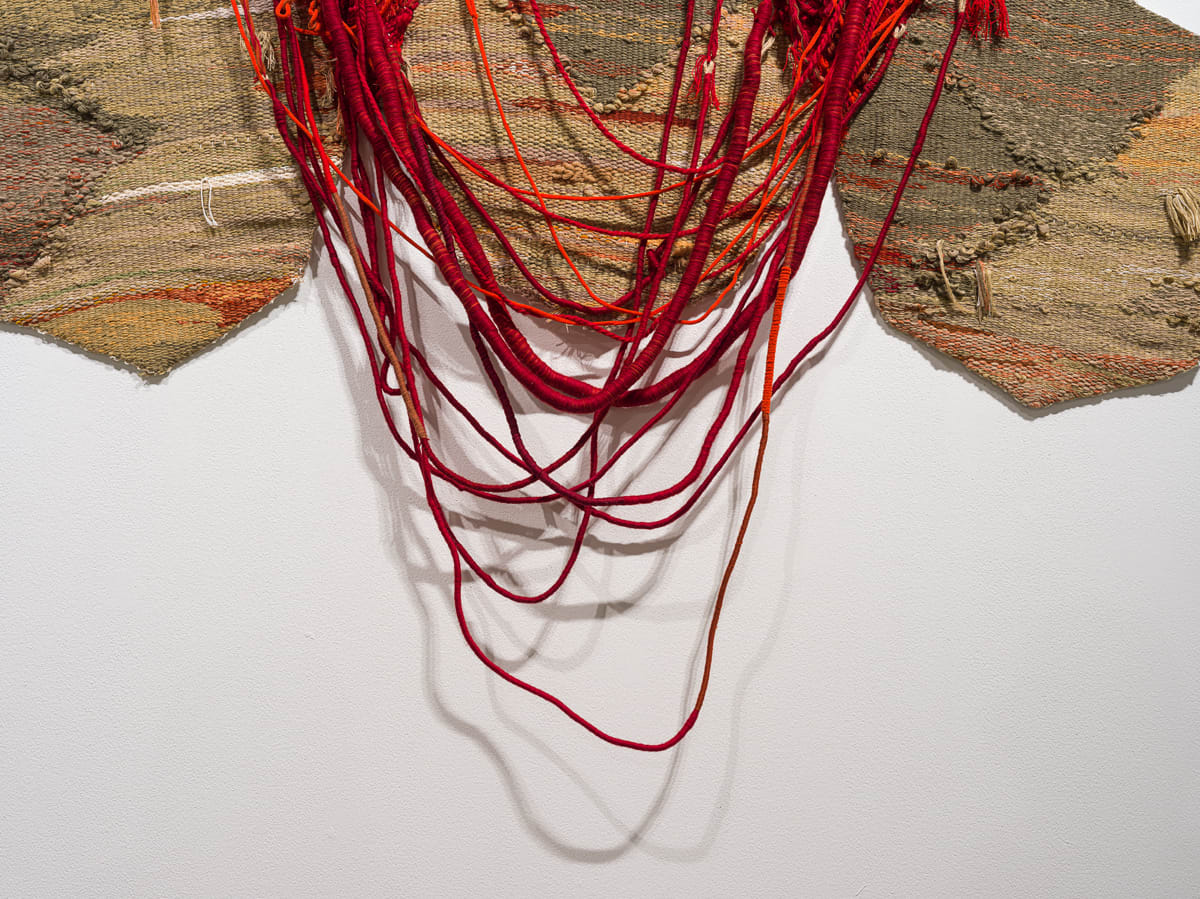 Fariba Boroufar, Hashti, 2024