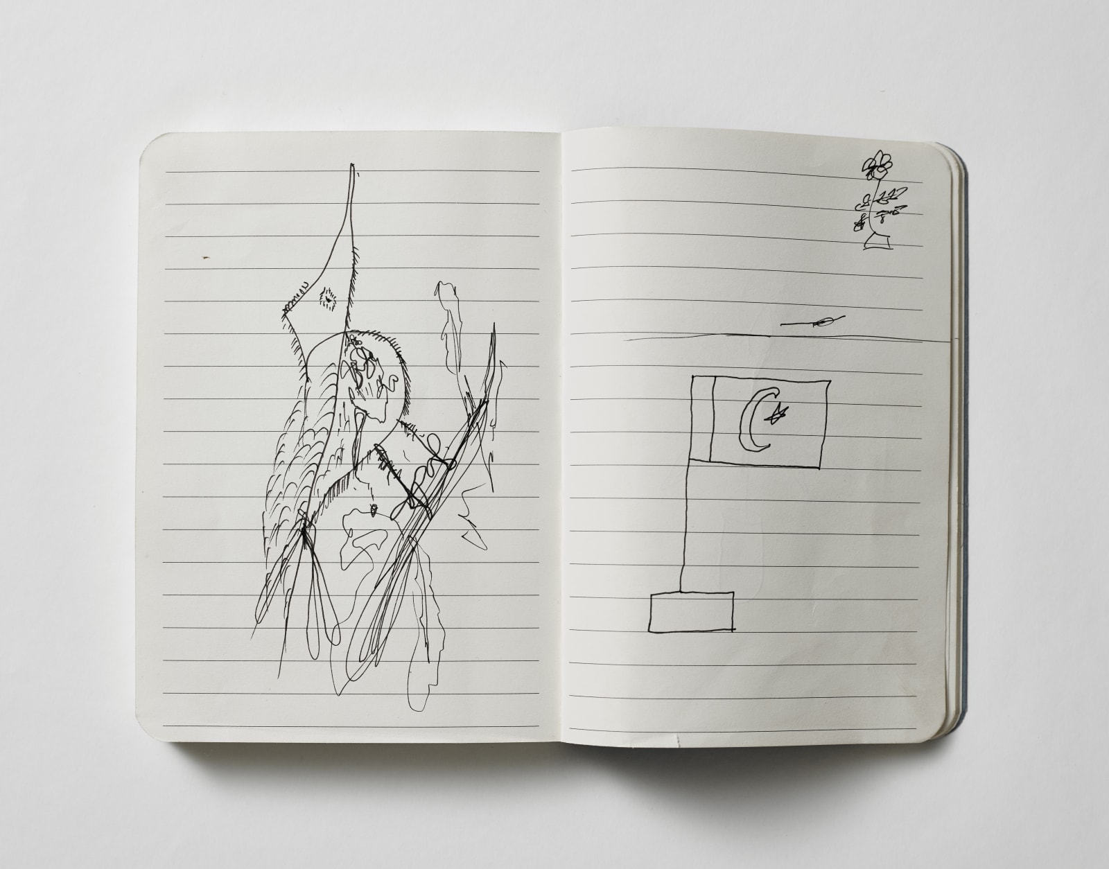 Shahid Ahmad Bashir Mahmood, Vikram Divecha, Sketchbook 1, 2017