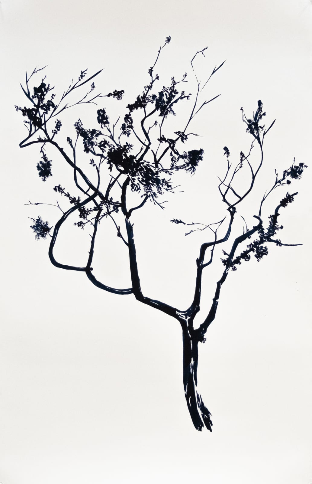 Abdelkader Benchamma, Book of Miracles - In the Name of, 2019