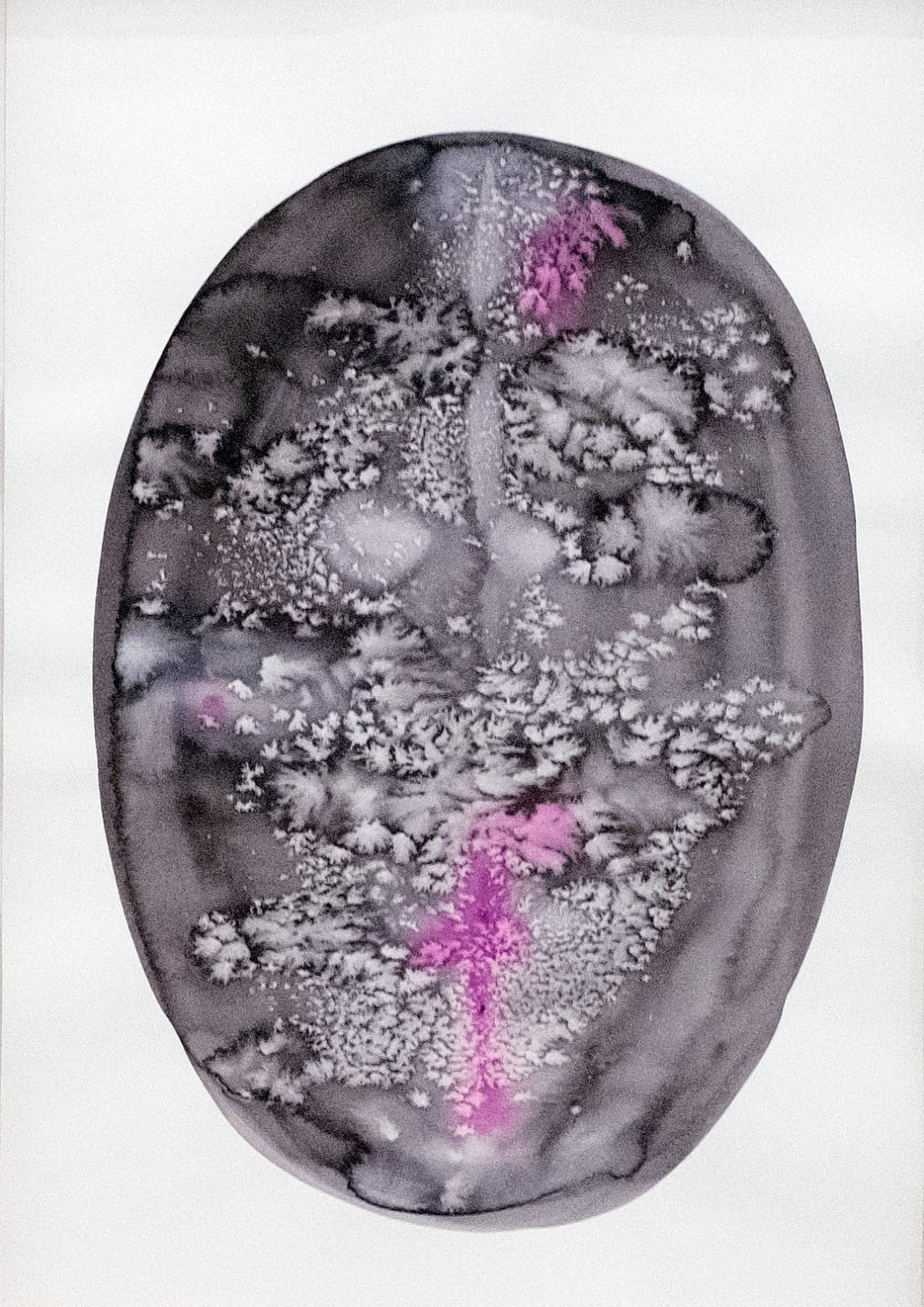 Hoda Tawakol, Dilution N°64, 2017