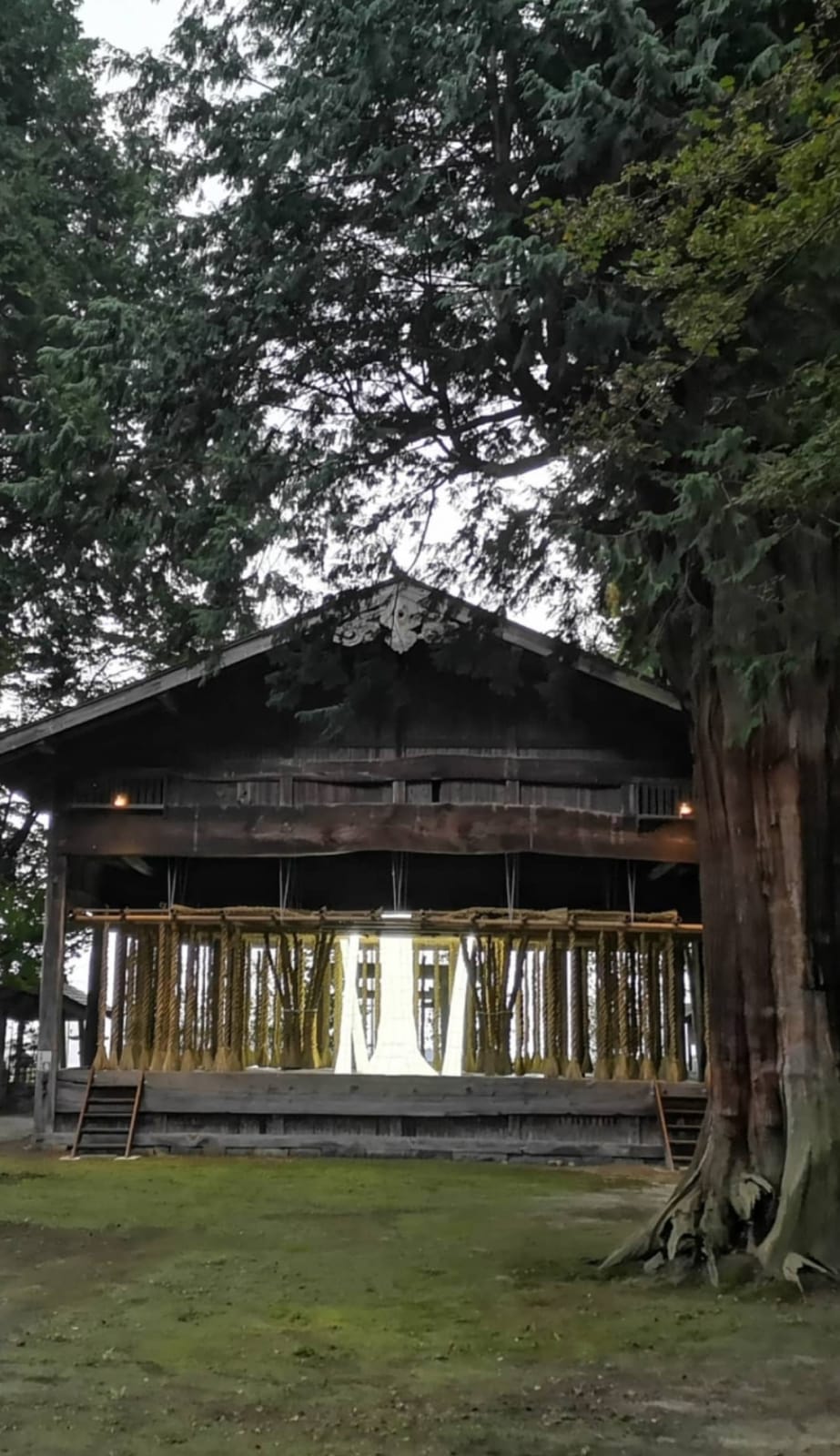 Manal AlDowayan, Illuminate Me, 2021