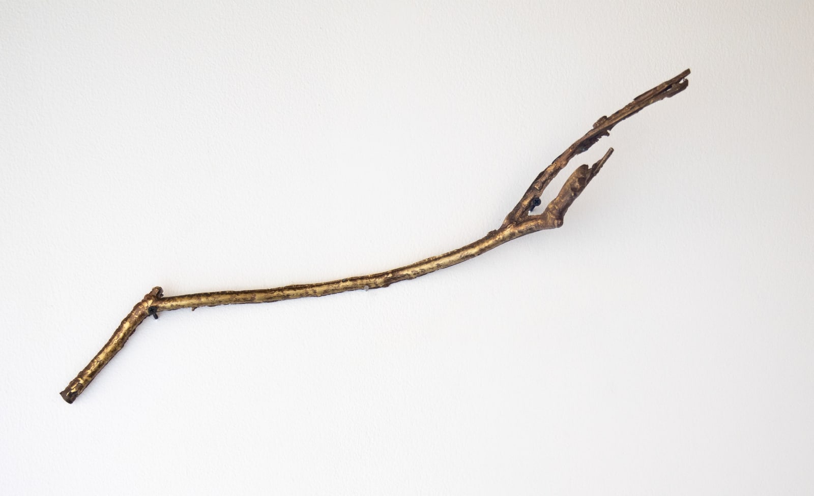 Fereydoun Ave, Untitled, 2025