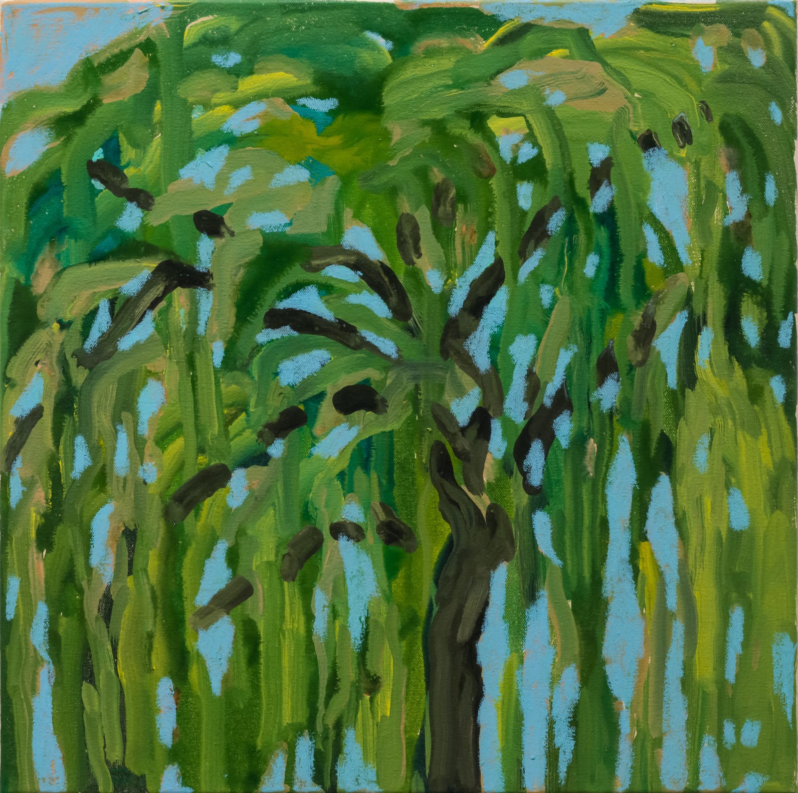 Alia Zaal, Memory of a Ghaf, 2024