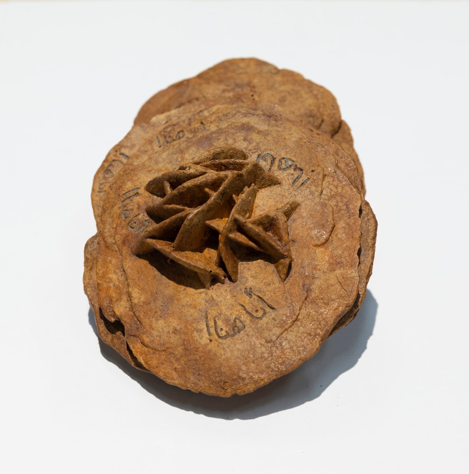 Manal Aldowayan, I am here, 2019