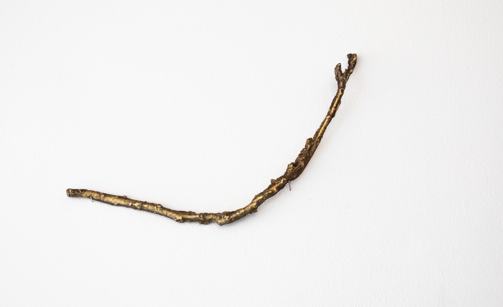 Fereydoun Ave, Untitled, 2025