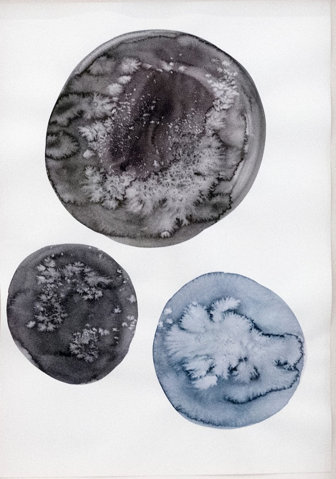 Hoda Tawakol, Dilution N°12, 2017