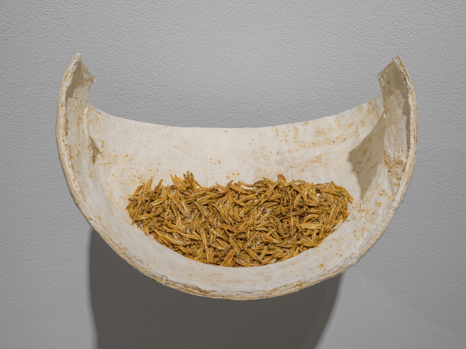 Richi Bhatia, Assemblage II, 2025