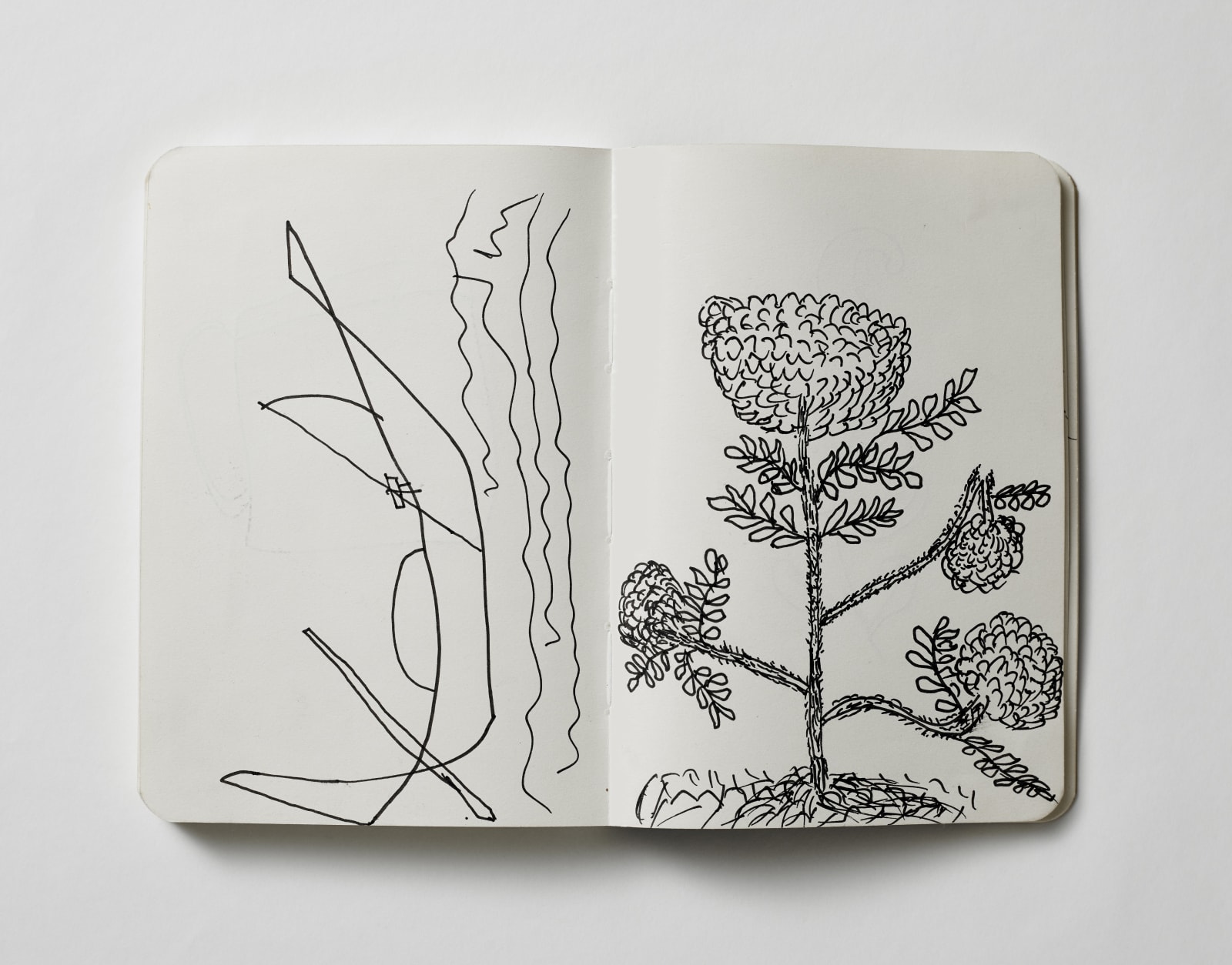 Mohammed Mostafa Mohammed Junu Mia, Vikram Divecha, Sketchbook 3, 2017