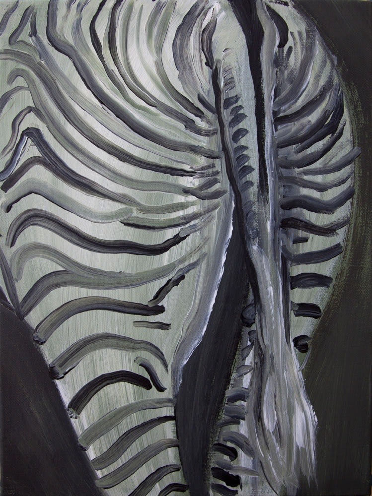 Hesam Rahmanian, Zebra 02, 2012