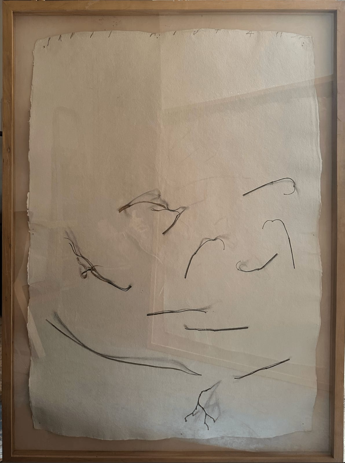 Fereydoun Ave, Twigs, 1999