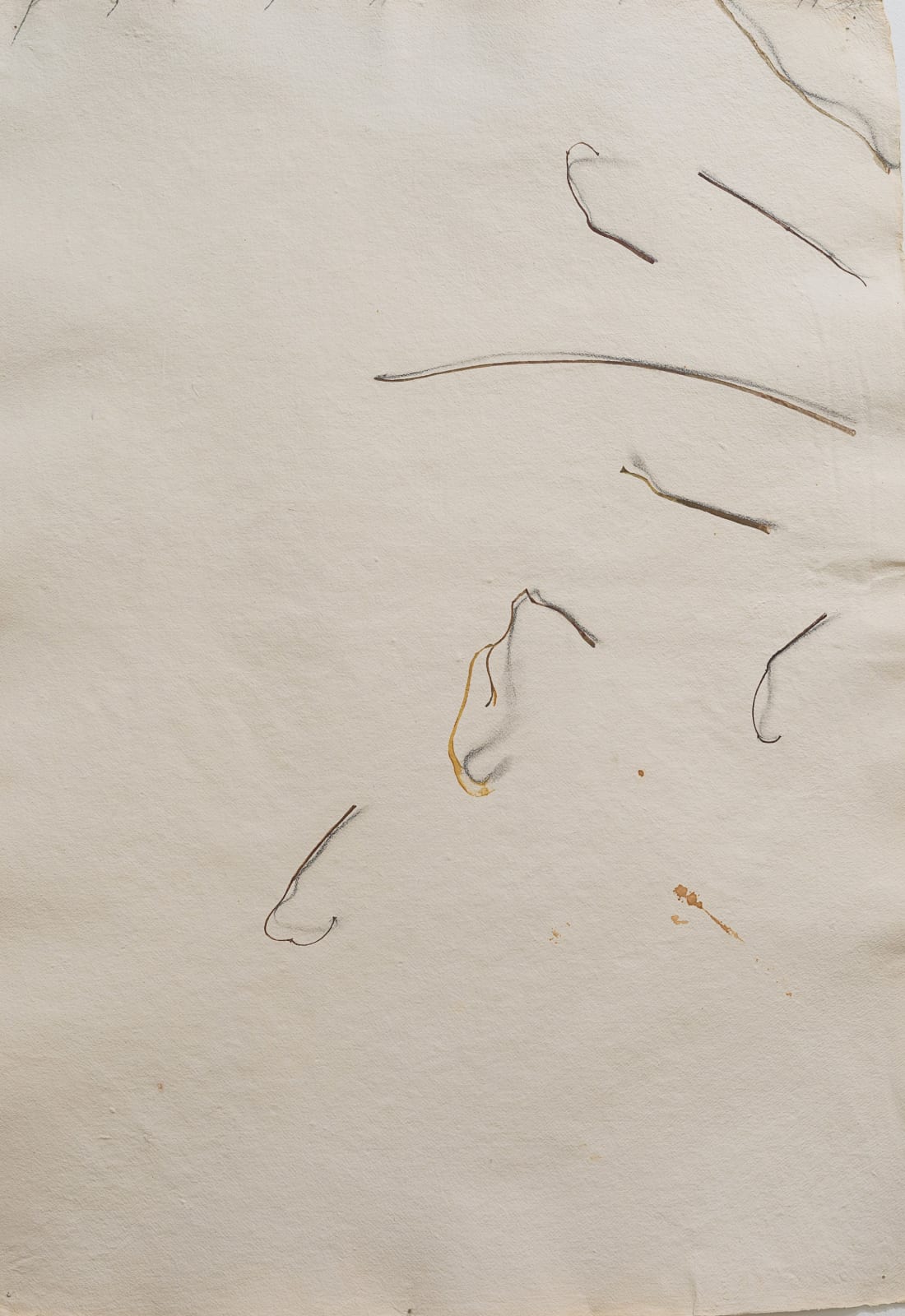 Fereydoun Ave, Twigs, 1999