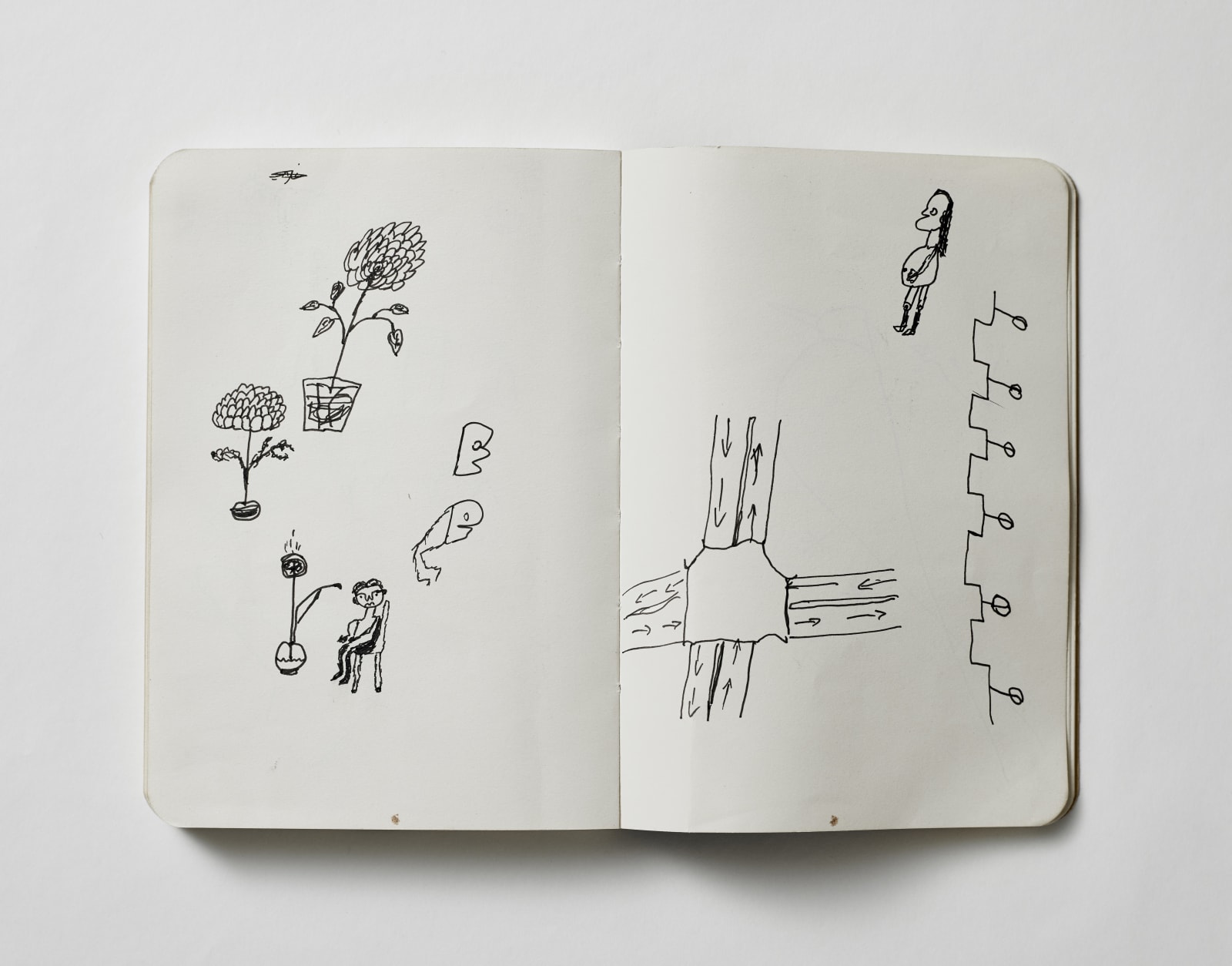 Tariq Mahmood Muhammad Riaz Ahmed, Vikram Divecha, Sketchbook 4, 2017