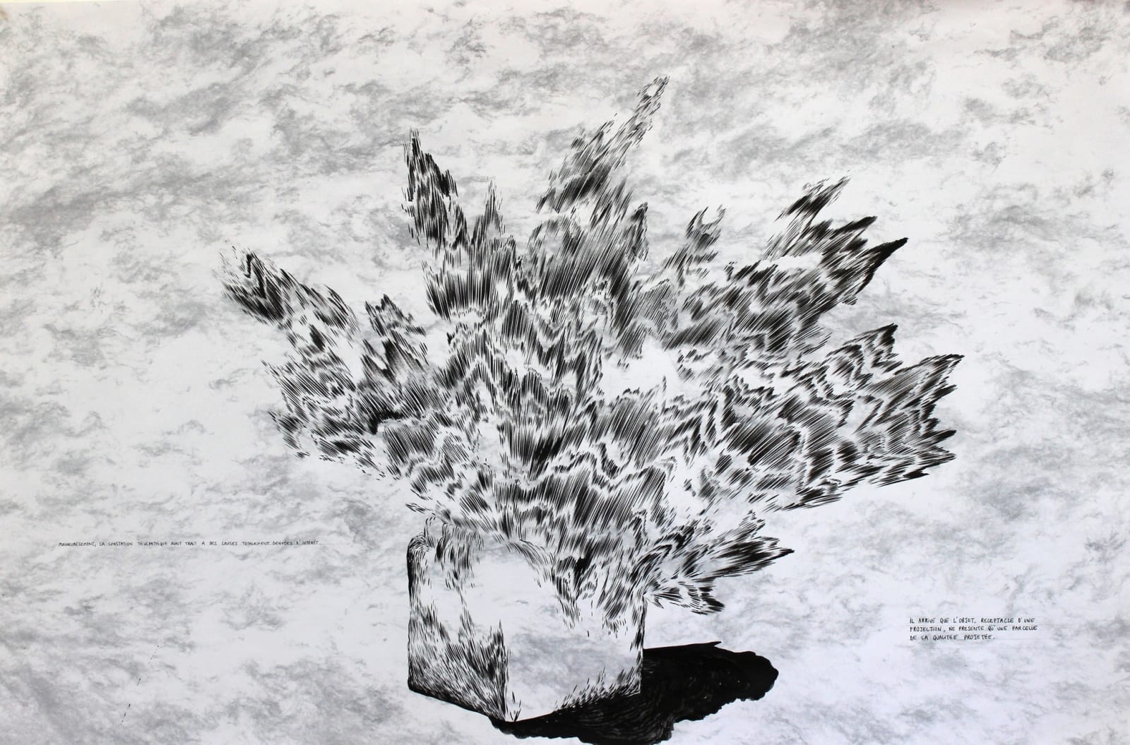 Abdelkader Benchamma, Quartz (Télépathique), 2014