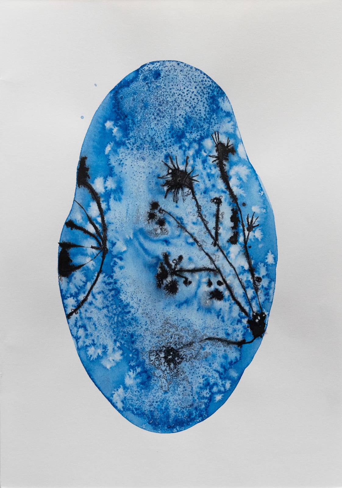 Hoda Tawakol, Canope study N°2, 2018