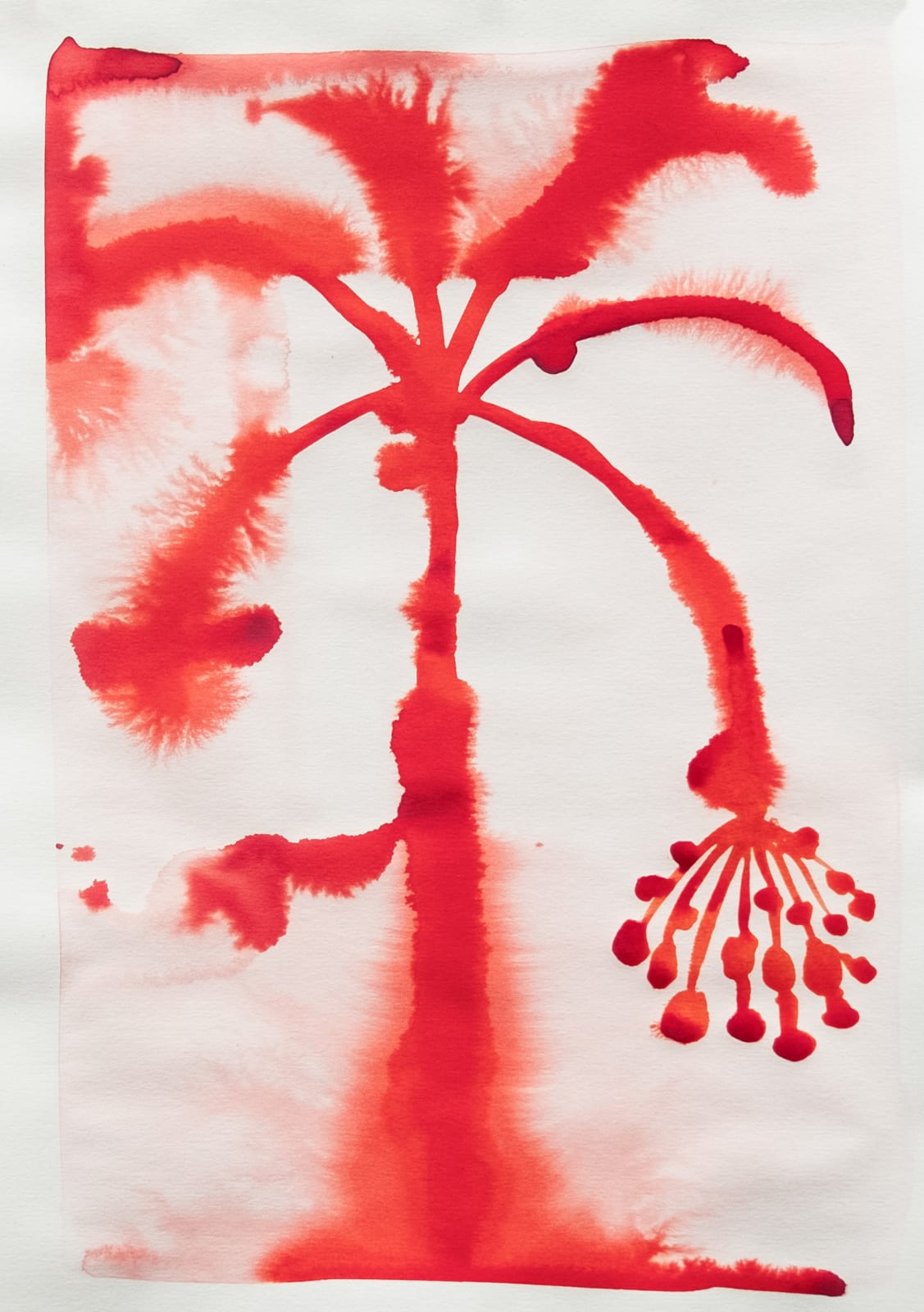 Hoda Tawakol, Palm Tree N°130, 2019