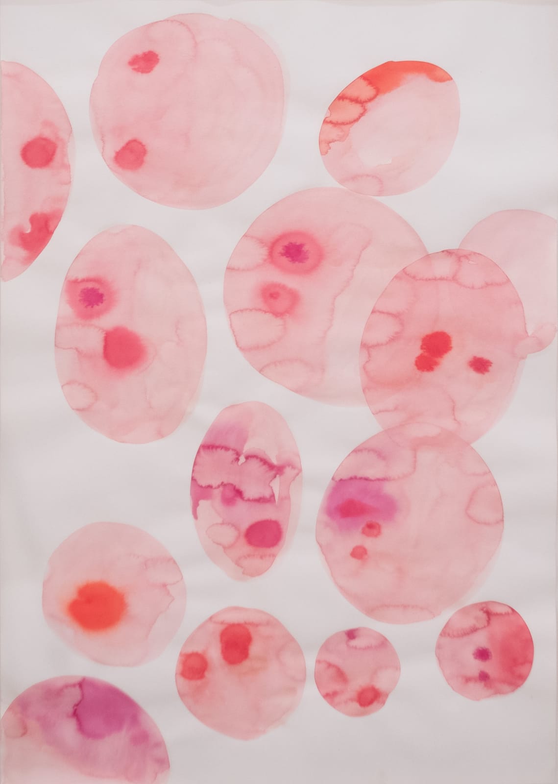 Hoda Tawakol, Dilution N°8, 2017